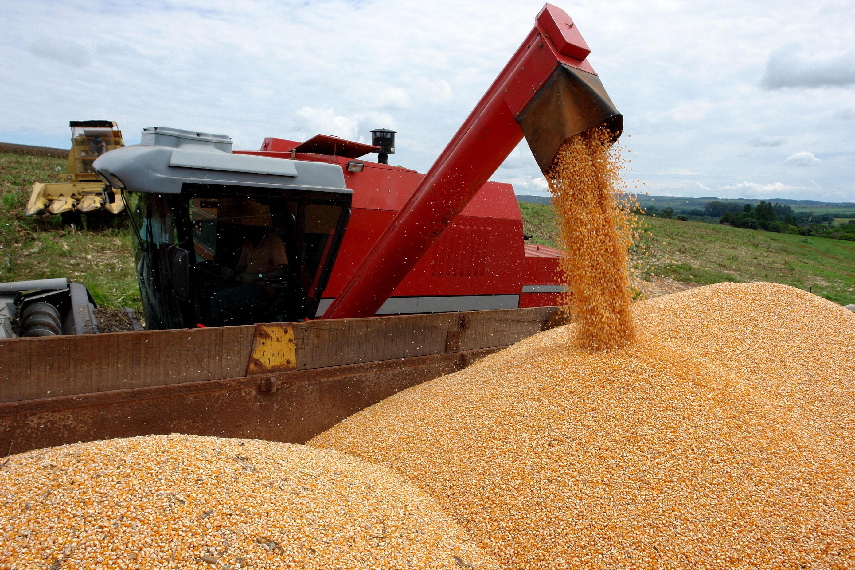 Destaque aos embarques de milho, que subiram 76%, de US$ 185,258 milh&otilde;es para US$ 326,908 milh&otilde;es