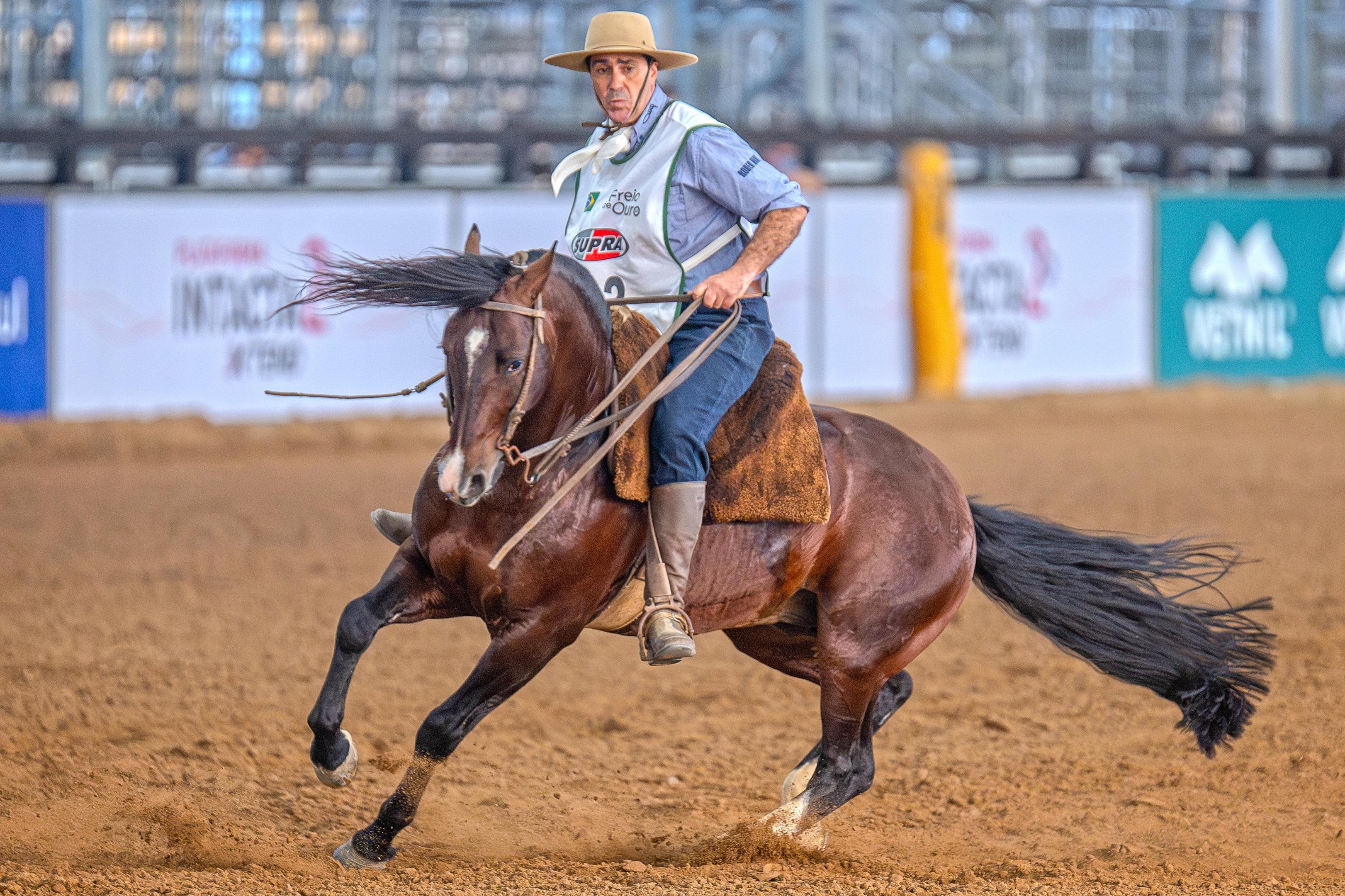 Patronato Cala Bassa-TE (Box 63), acompanhado do ginete Jos&eacute; Fonseca Macedo, atingiu a melhor m&eacute;dia da competi&ccedil;&atilde;o entre os machos
