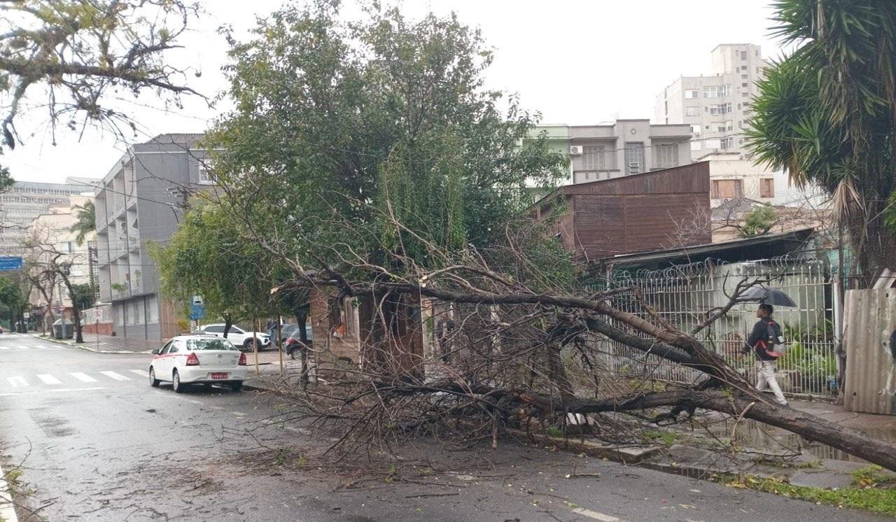 &Aacute;rvore caiu na rua Jer&ocirc;nimo de Ornelas na manh&atilde; desta segunda-feira