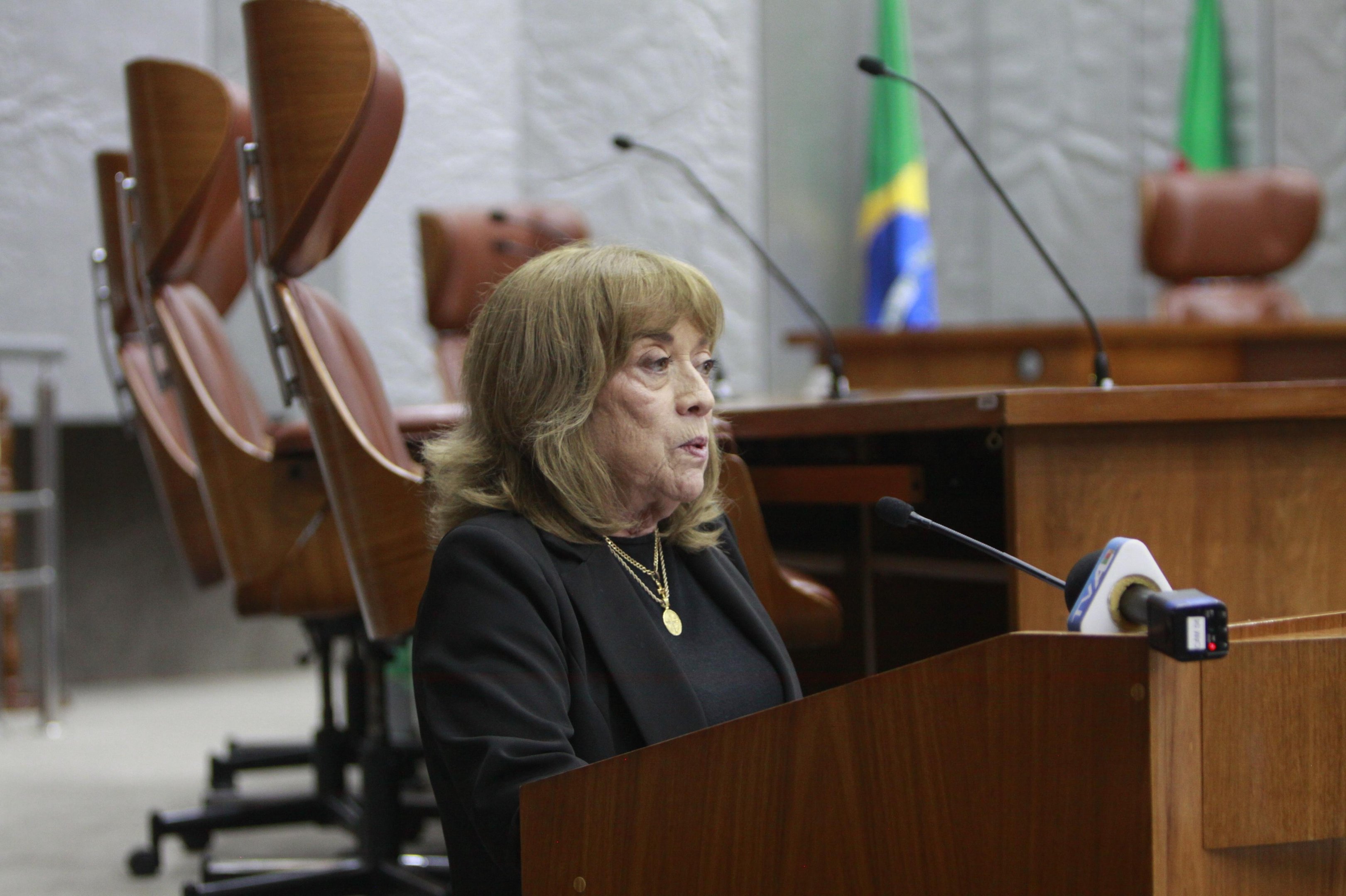 Presidente do TRE-RS destacou uni&atilde;o para garantia da democracia no pleito