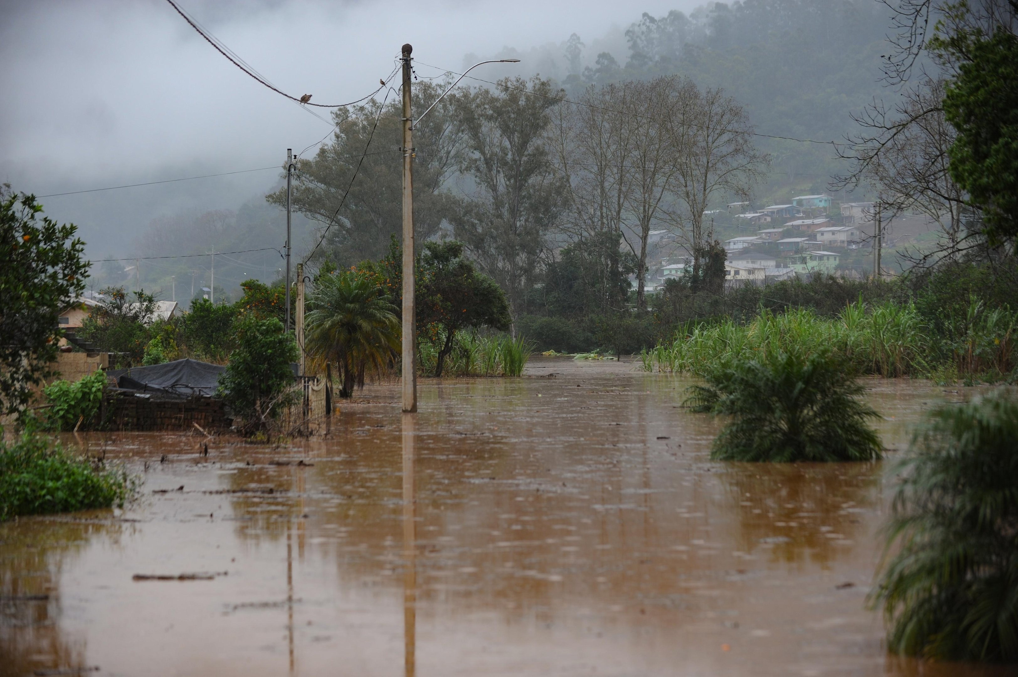 Segundo o instituto, o estado poder&aacute; ser atingido por chuvas de 20 a 30 mil&iacute;metros por hora ou at&eacute; 50 mm/dia, ventos intensos (40-60 km/h), e queda de granizo