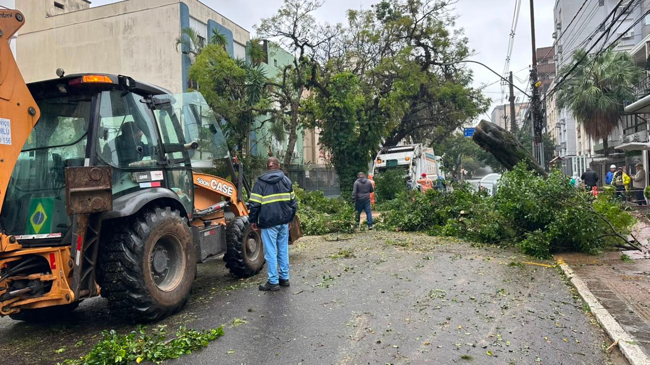Remo&ccedil;&atilde;o dos galhos mobiliza equipes na manh&atilde; desta quinta-feira