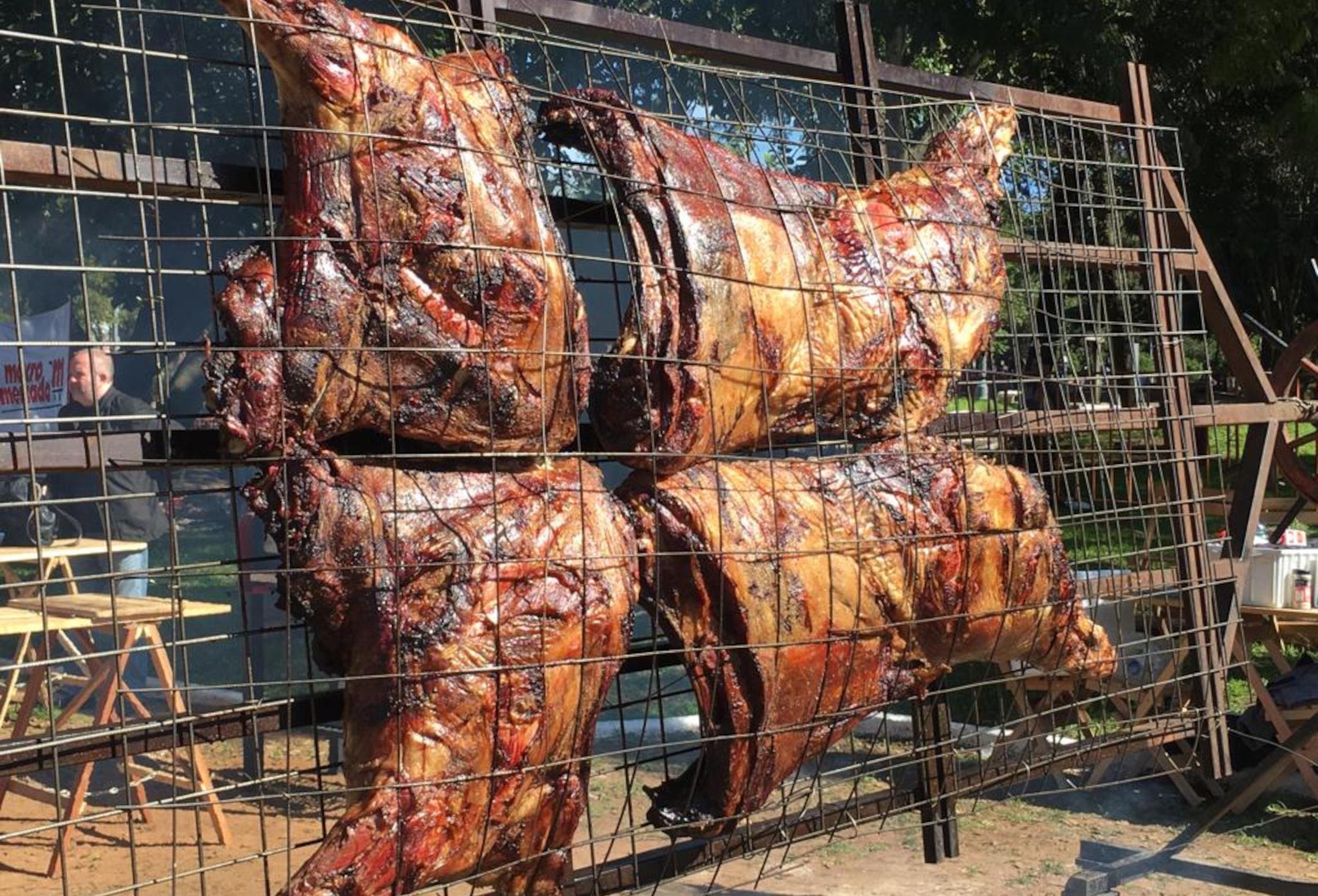 Pela primeira vez o evento ter&aacute; o assado de carca&ccedil;a de b&uacute;falo