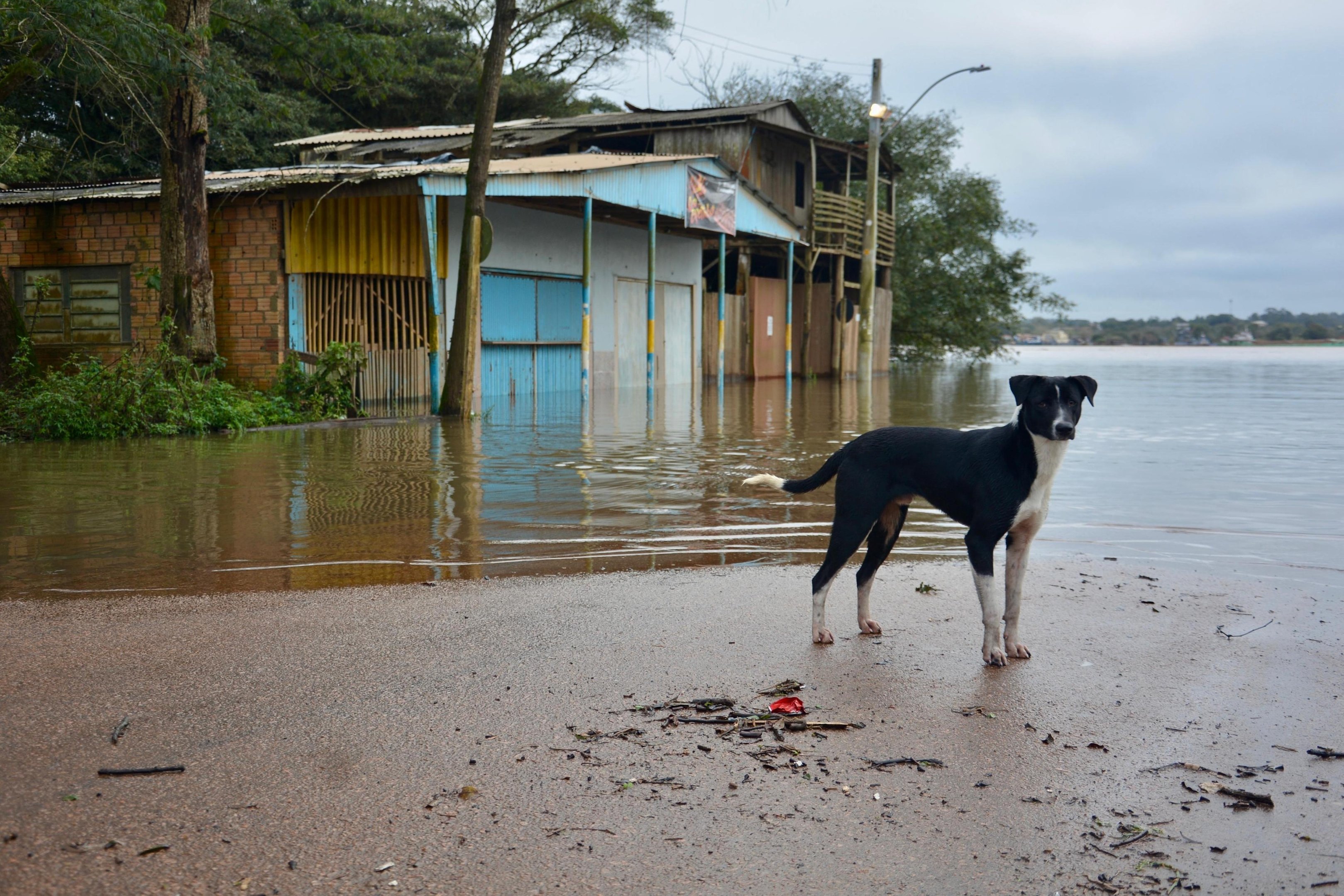 N&iacute;vel do rio dos Sinos deve aumentar nos pr&oacute;ximos dias