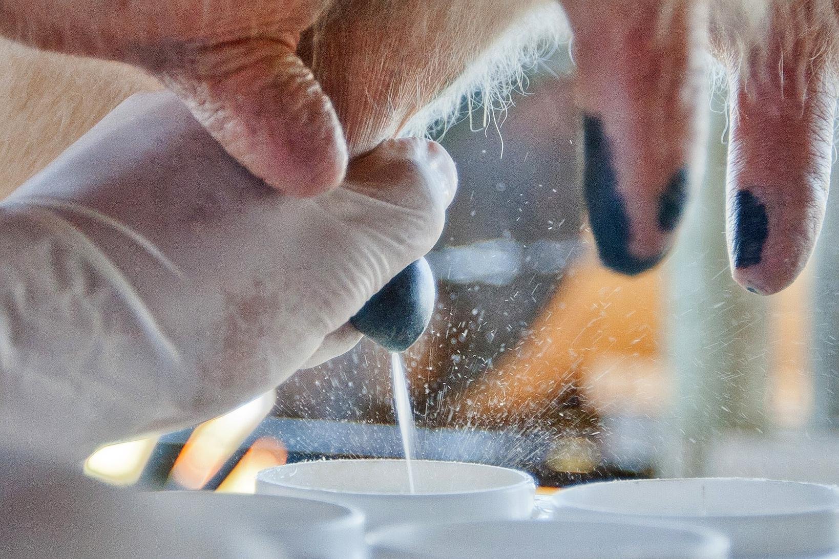 Enquanto alguns custos avan&ccedil;am, o pre&ccedil;o recebido pelo produtor n&atilde;o acompanha a mesma trajet&oacute;ria