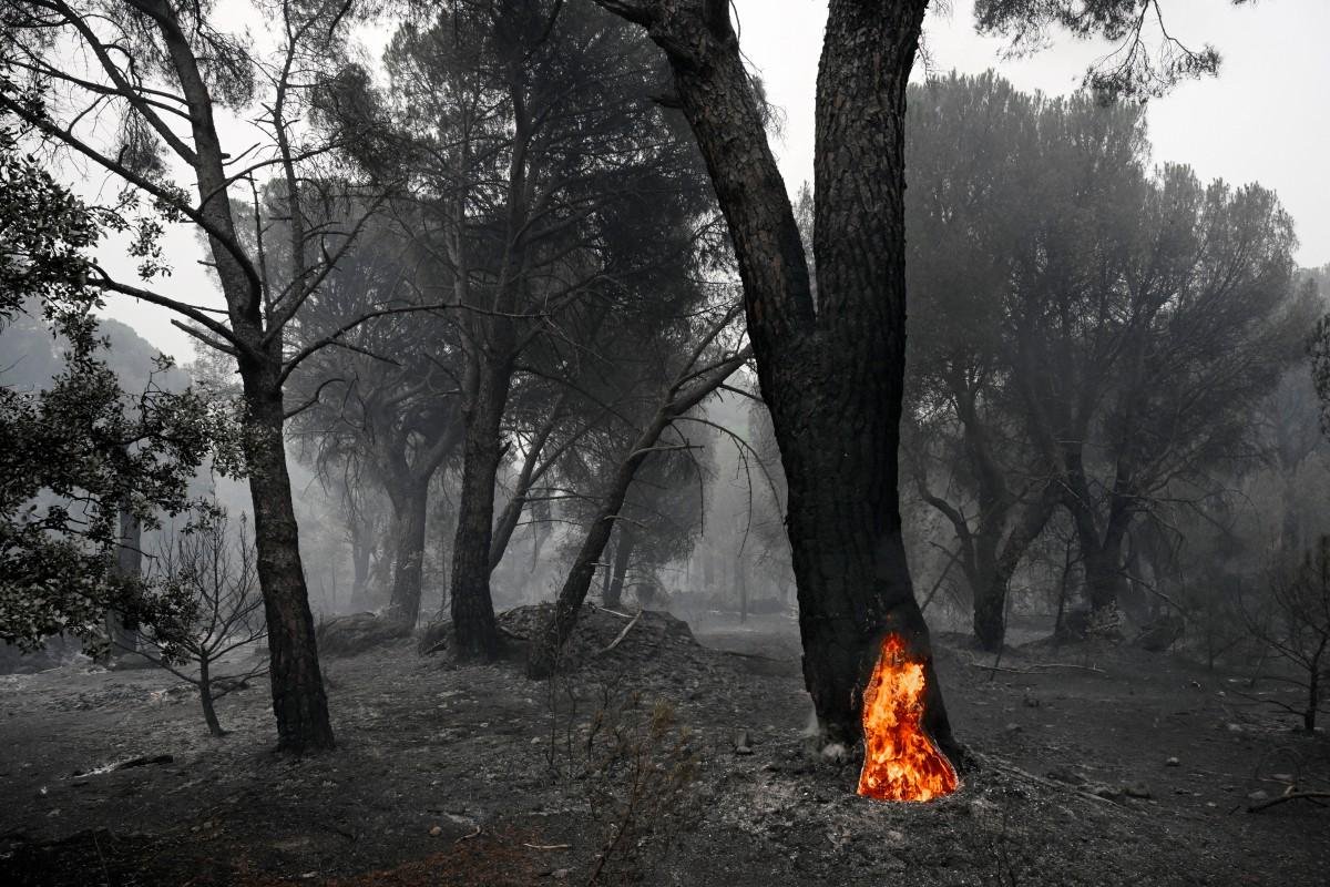 Espanha autoriza retorno de parte dos moradores afetados por inc&ecirc;ndio em Madri