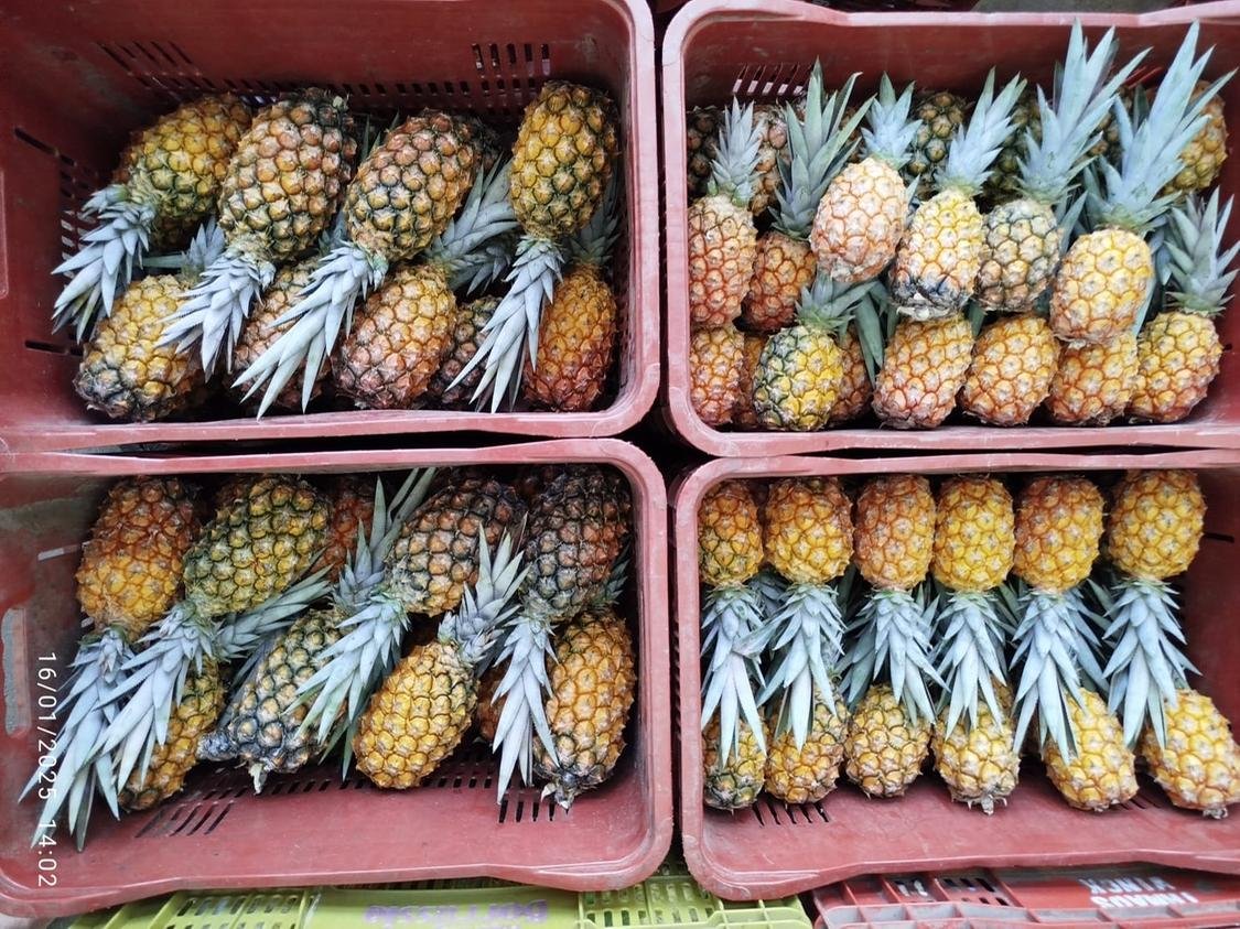 Autoriza&ccedil;&atilde;o vale para produtos obtidos de esp&eacute;cies de frutas j&aacute; reconhecidas como alimentos pelas autoridades chinesas, como o abacaxi