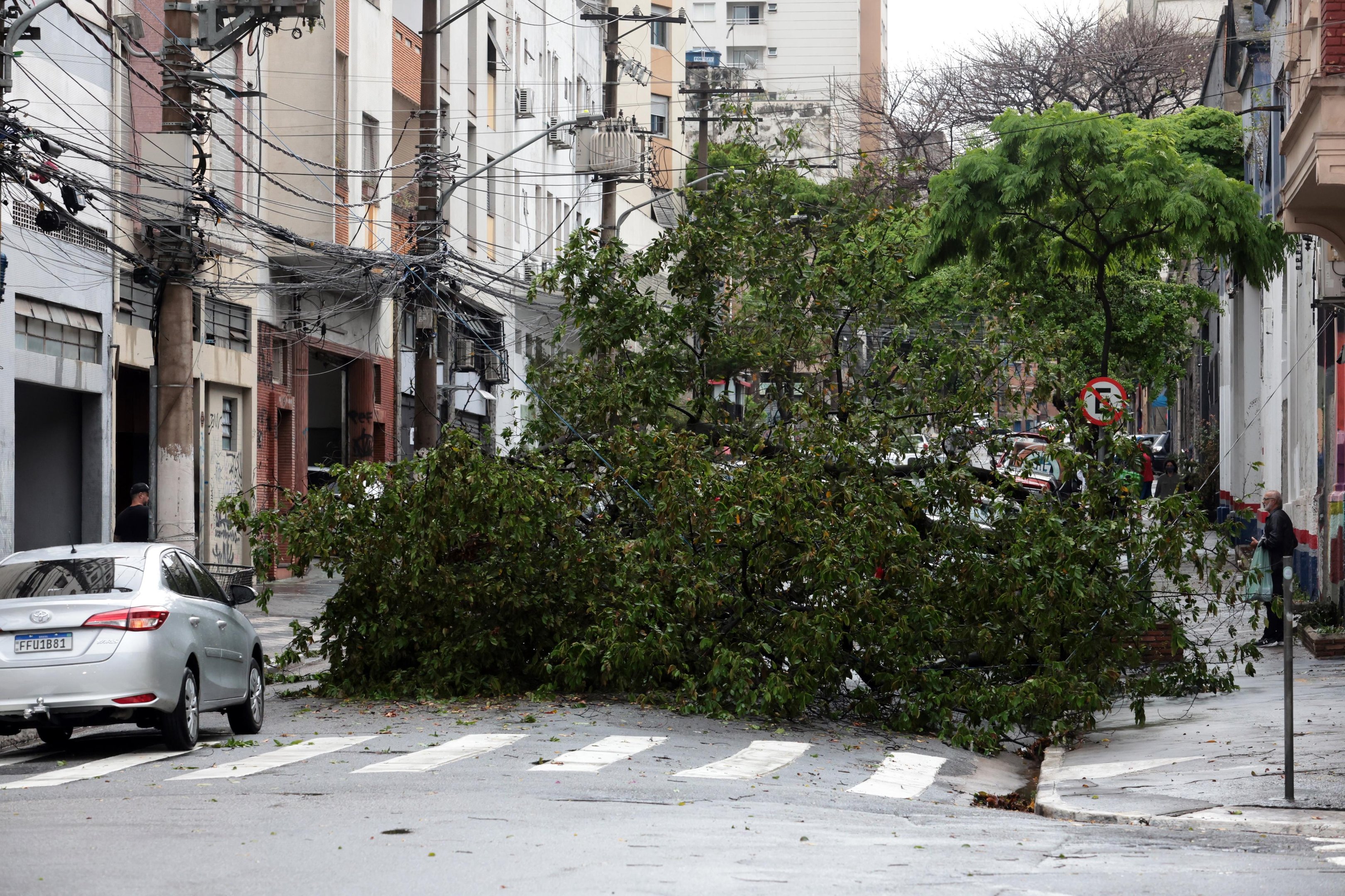 Na capital paulista, foram registrados ventos de 75,3 km/h. Segundo o Corpo de Bombeiros, foram efetuadas 39 chamadas sobre quedas de &aacute;rvores