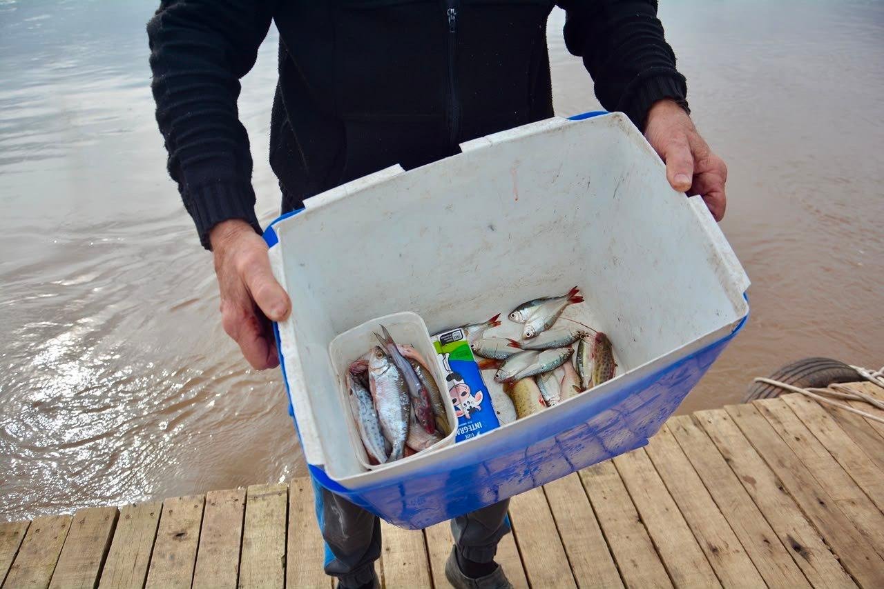 Pesca amadora na ilhas de Porto Alegre em sido beneficiada com alta do Gua&iacute;ba