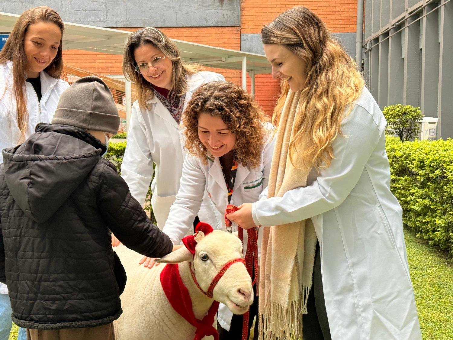 Projeto desenvolve atividades com a participa&ccedil;&atilde;o de 12 animais