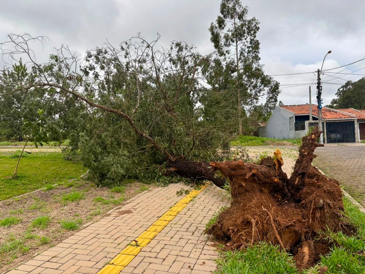 Em Nova Santa Rita, foram contabilizadas 38 &aacute;rvores ca&iacute;das e 16 solicita&ccedil;&otilde;es de lonas