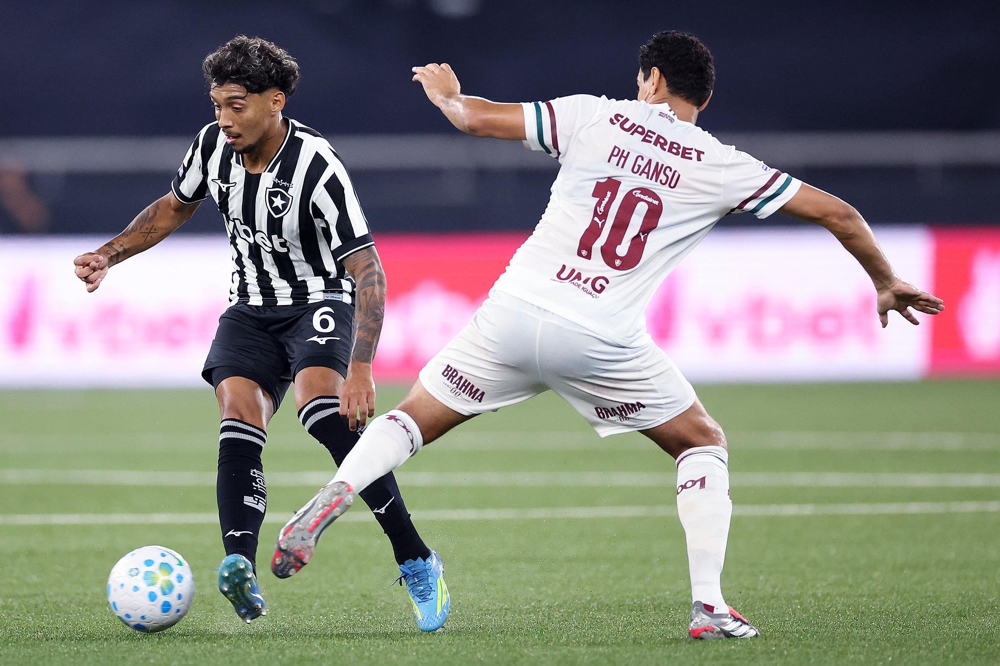 Fluminense est&aacute; em quarto lugar com 35 pontos; Botafogotem 30 pontos e &eacute; o s&eacute;timo
