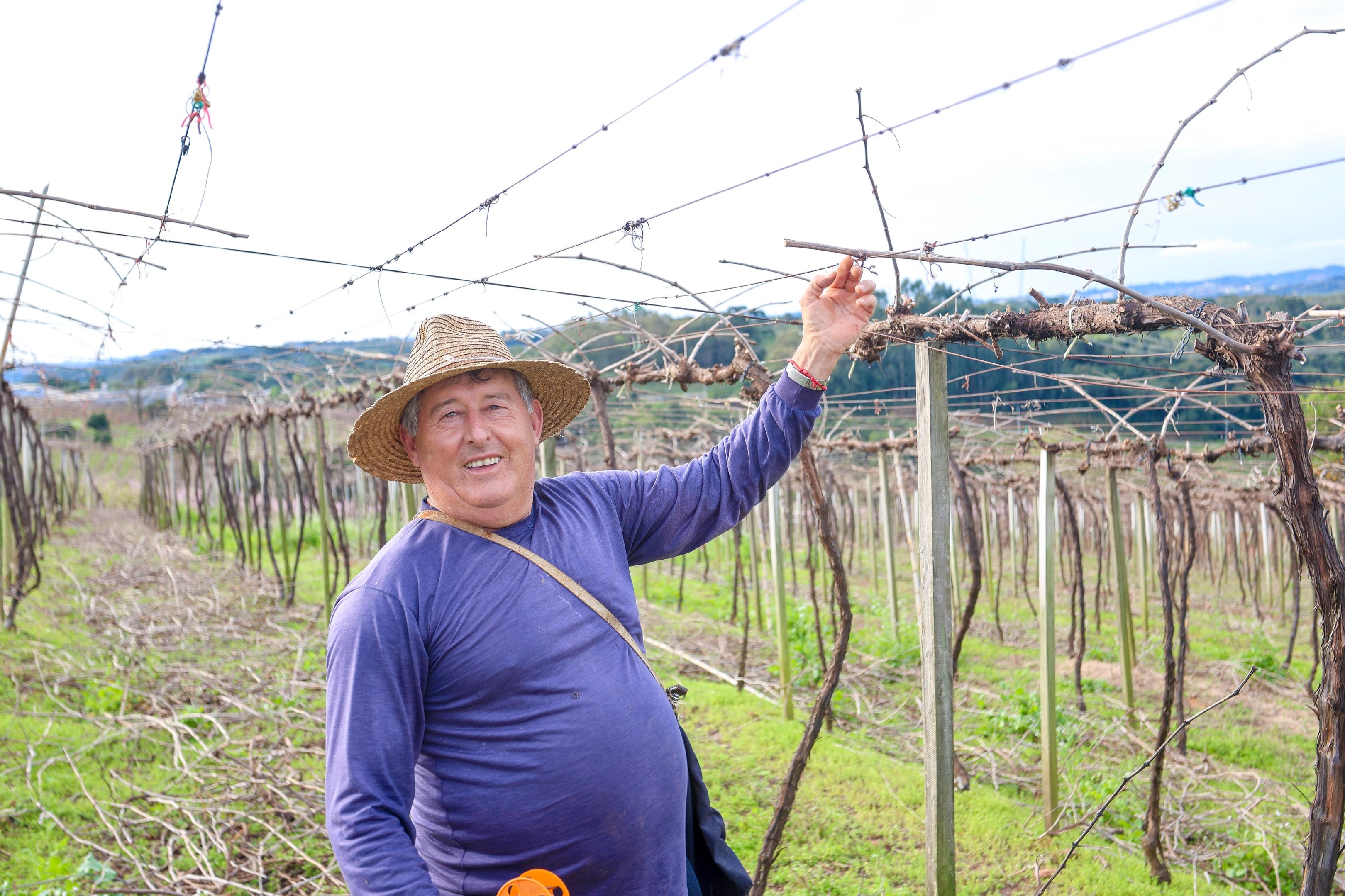 Munic&iacute;pio da Serra Ga&uacute;cha det&eacute;m a &uacute;nica indica&ccedil;&atilde;o geogr&aacute;fica brasileira dedicada a esse tipo de vinho e agora busca a Denomina&ccedil;&atilde;o de Origem junto ao INPI