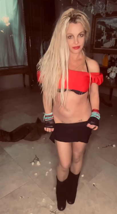 Britney alegou que o funcion&aacute;rio teria sido contratado para avisar paparazzi sobre seus compromissos e localiza&ccedil;&atilde;o
