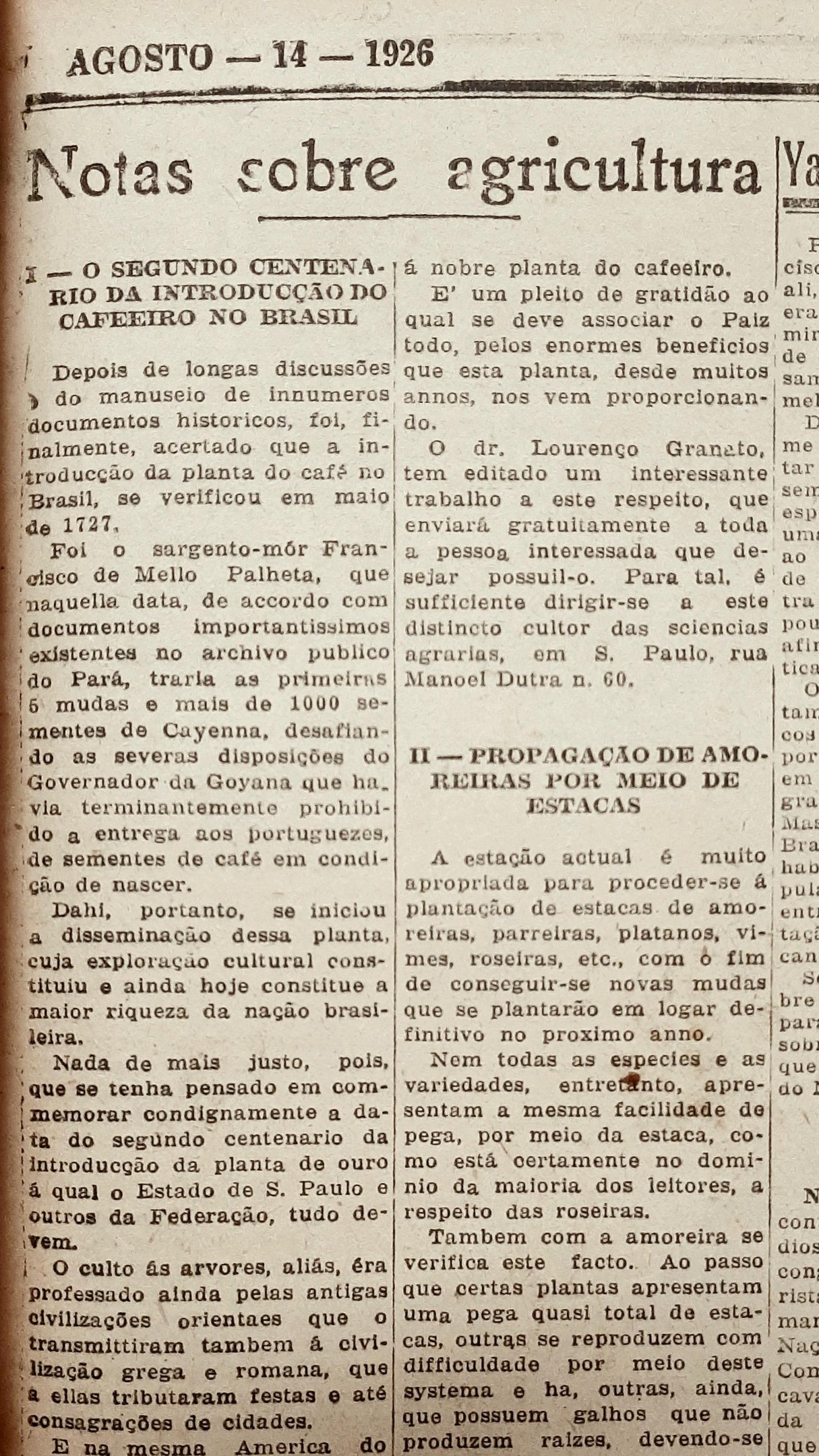 As primeiras plantas do cafeeiro chegaram ao Brasil em maio de 1727 vindas da Guiana Francesa