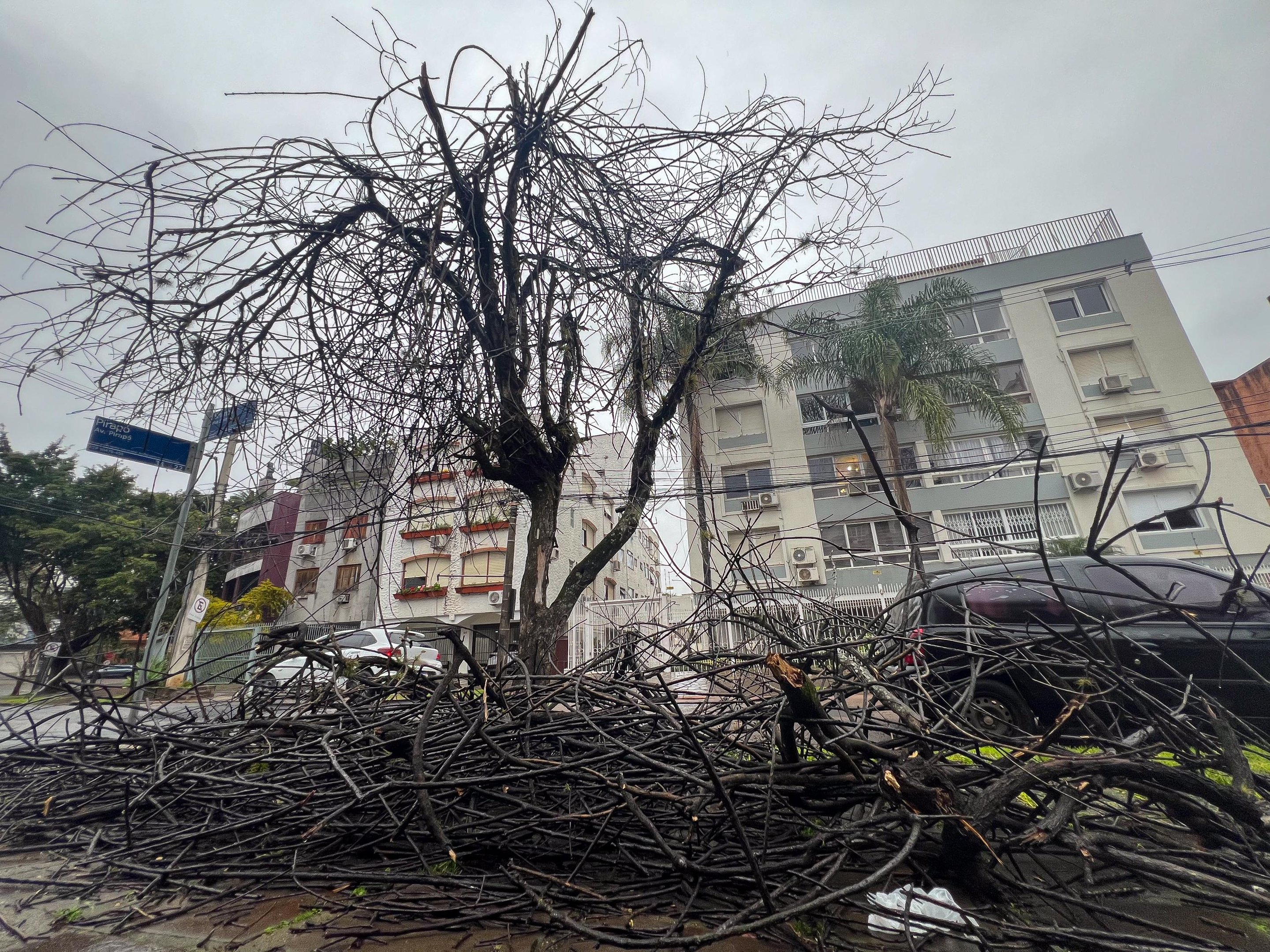Podas executadas pela CEEE Equatorial incomodam moradores do bairro Petr&oacute;polis