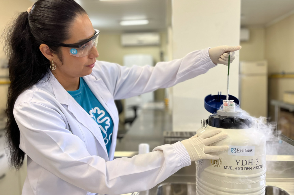 Investiga&ccedil;&atilde;o foi realizada pelo grupo ReefBank