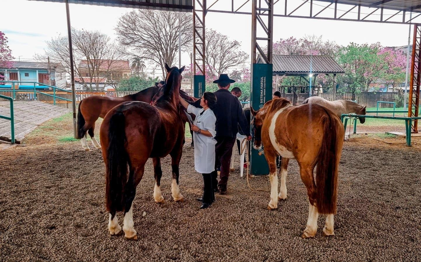 Trabalhadores s&atilde;o respons&aacute;veis pela seguran&ccedil;a sanit&aacute;ria dos animais que participam do evento