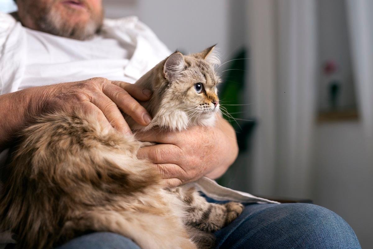 Estudos recentes tamb&eacute;m avaliam a utiliza&ccedil;&atilde;o de exames de sangue para detectar altera&ccedil;&otilde;es relacionadas a diferentes tipos de c&acirc;ncer em gatos e cachorros