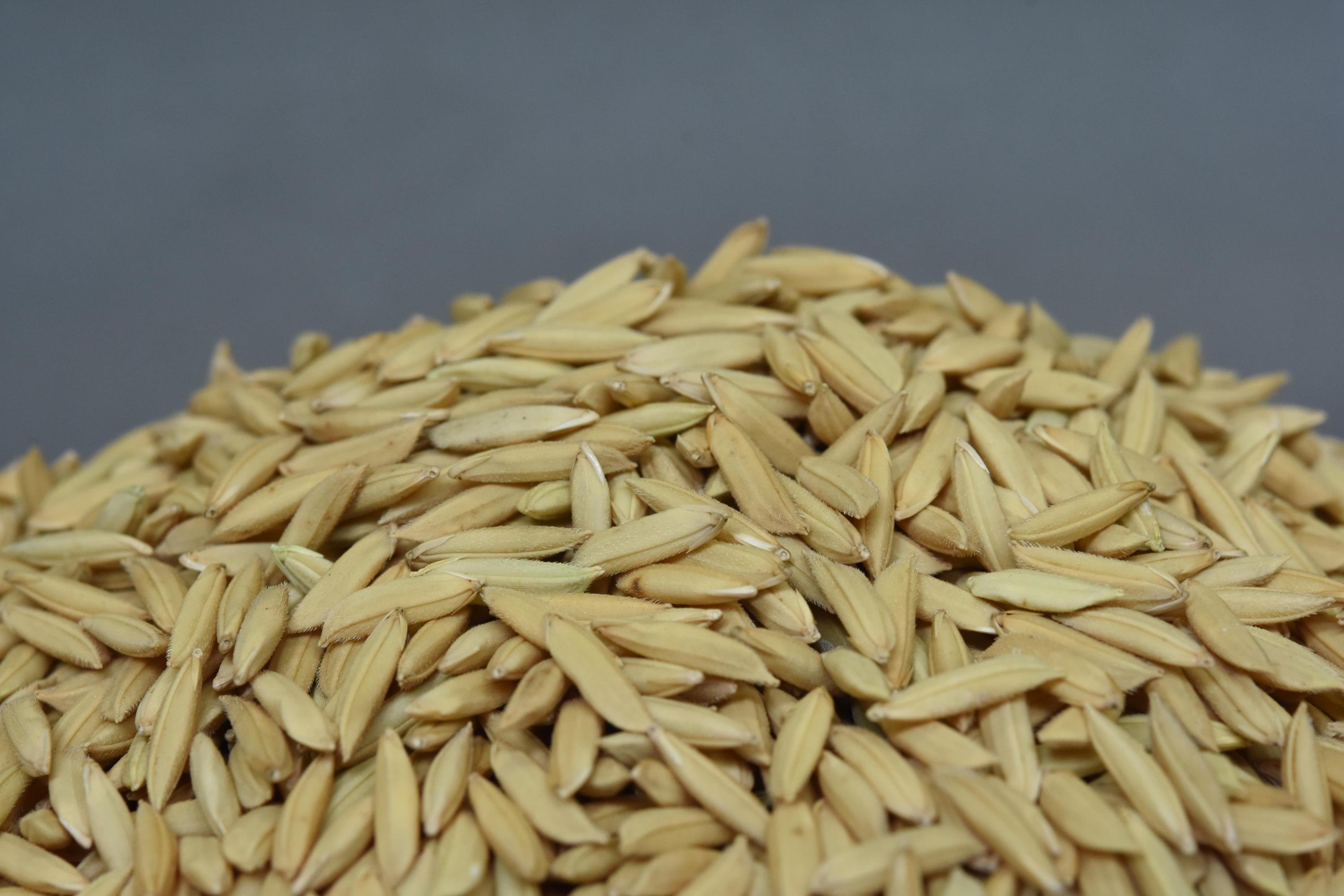 O arroz estava cotado a R$ 75,10 na quinta-feira, 13, alta de 3,98% em rela&ccedil;&atilde;o &agrave; semana anterior, segundo Safras & Mercado