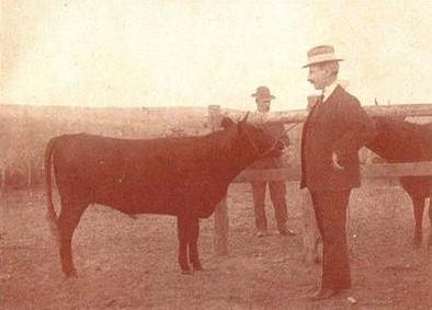Assis Brasil com as novilhas da ra&ccedil;a