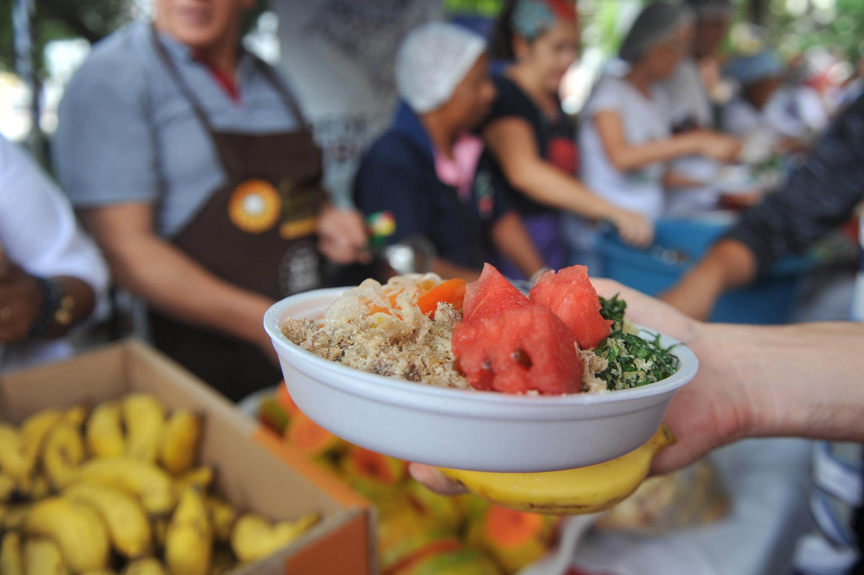 Seguran&ccedil;a alimentar e nutricional &eacute; um dos temas tratados no texto