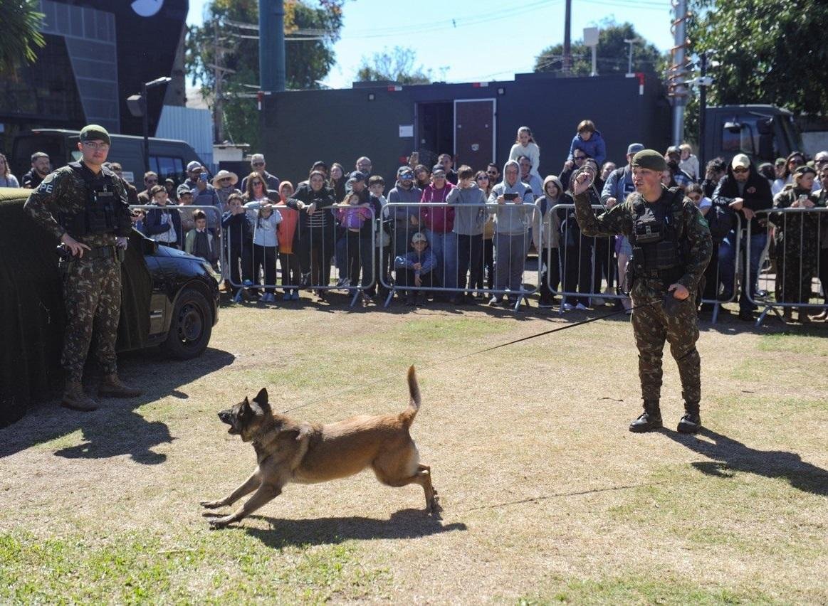 ExpoEx promove, entre outras atra&ccedil;&otilde;es, apresenta&ccedil;&otilde;es dos c&atilde;es de guerra
