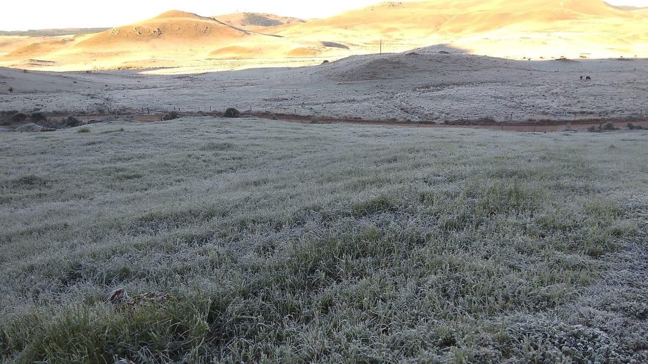 Em S&atilde;o Jos&eacute; dos Ausentes, na regi&atilde;o dos Campos em Cima da Serra, o campo amanheceu branco de geada