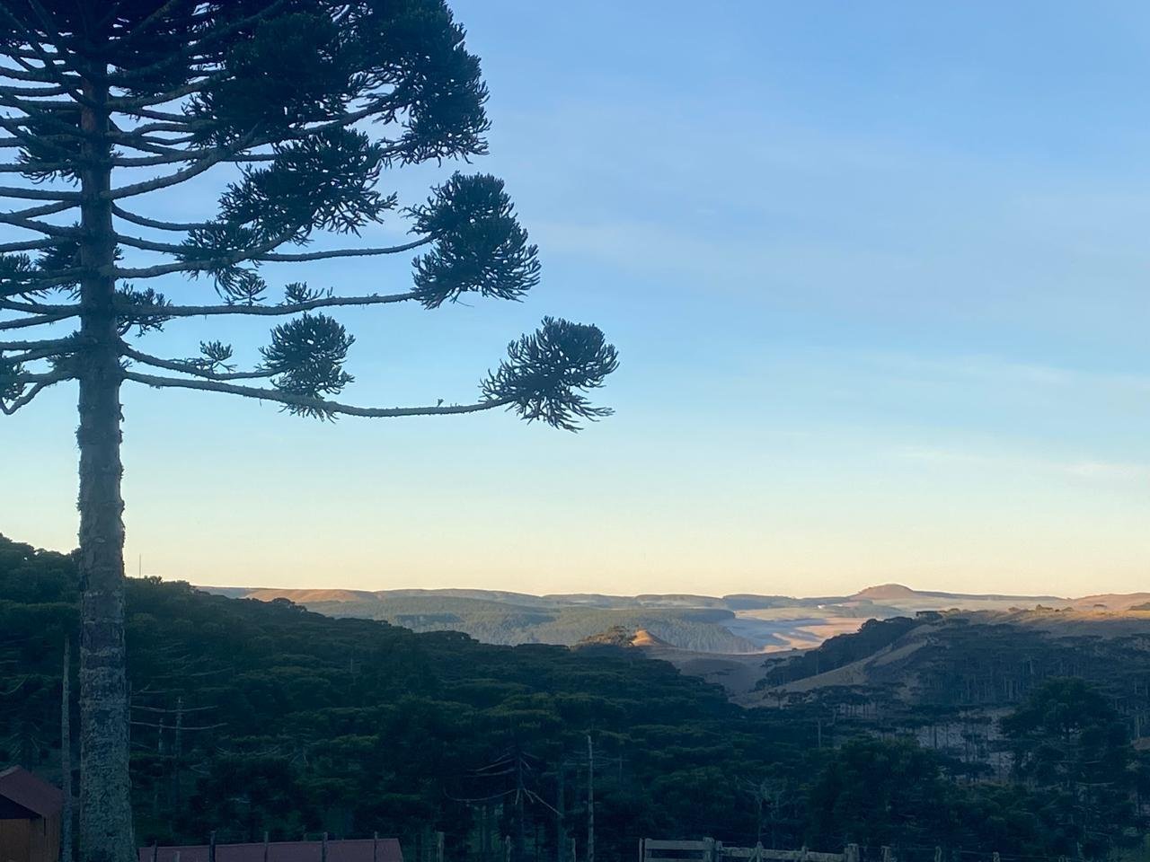 Nas &aacute;reas mais frias e de maior altitude do Rio Grande do Sul, as temperaturas m&iacute;nimas podem descer a valores entre -4 &ordm;C e -6 &ordm;C no in&iacute;cio da semana