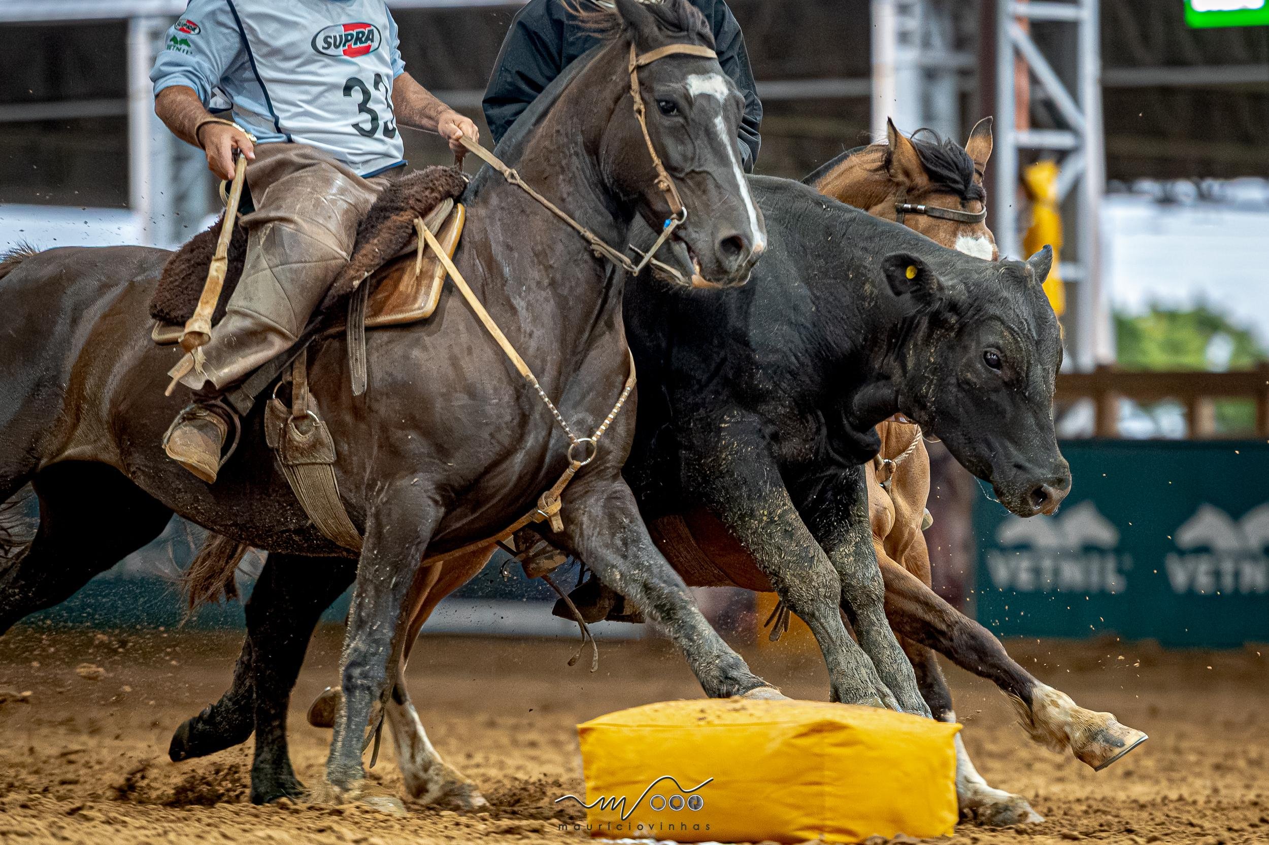 Eventos se estendem de 25 de agosto e 5 de setembro, na Arena do Cavalo Crioulo, no Parque de Exposi&ccedil;&otilde;es Assis Brasil, em Esteio
