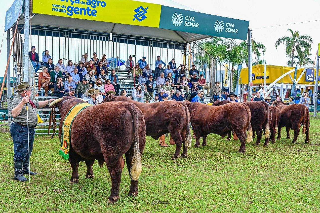 A programa&ccedil;&atilde;o oficial dos animais j&aacute; come&ccedil;a no s&aacute;bado, 29, com o julgamento de admiss&atilde;o