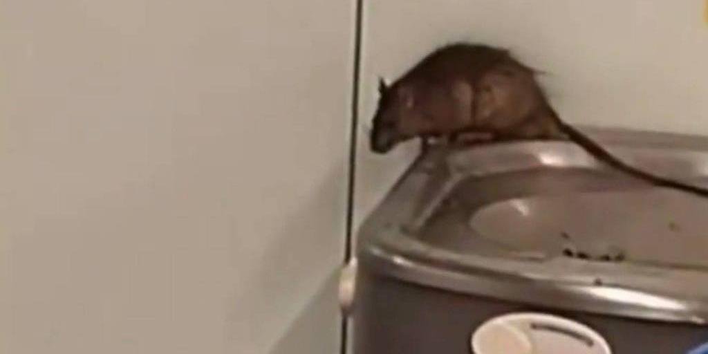 Imagens teriam sido feitas durante o fim de semana e divulgadas por um trabalhador do aeroporto