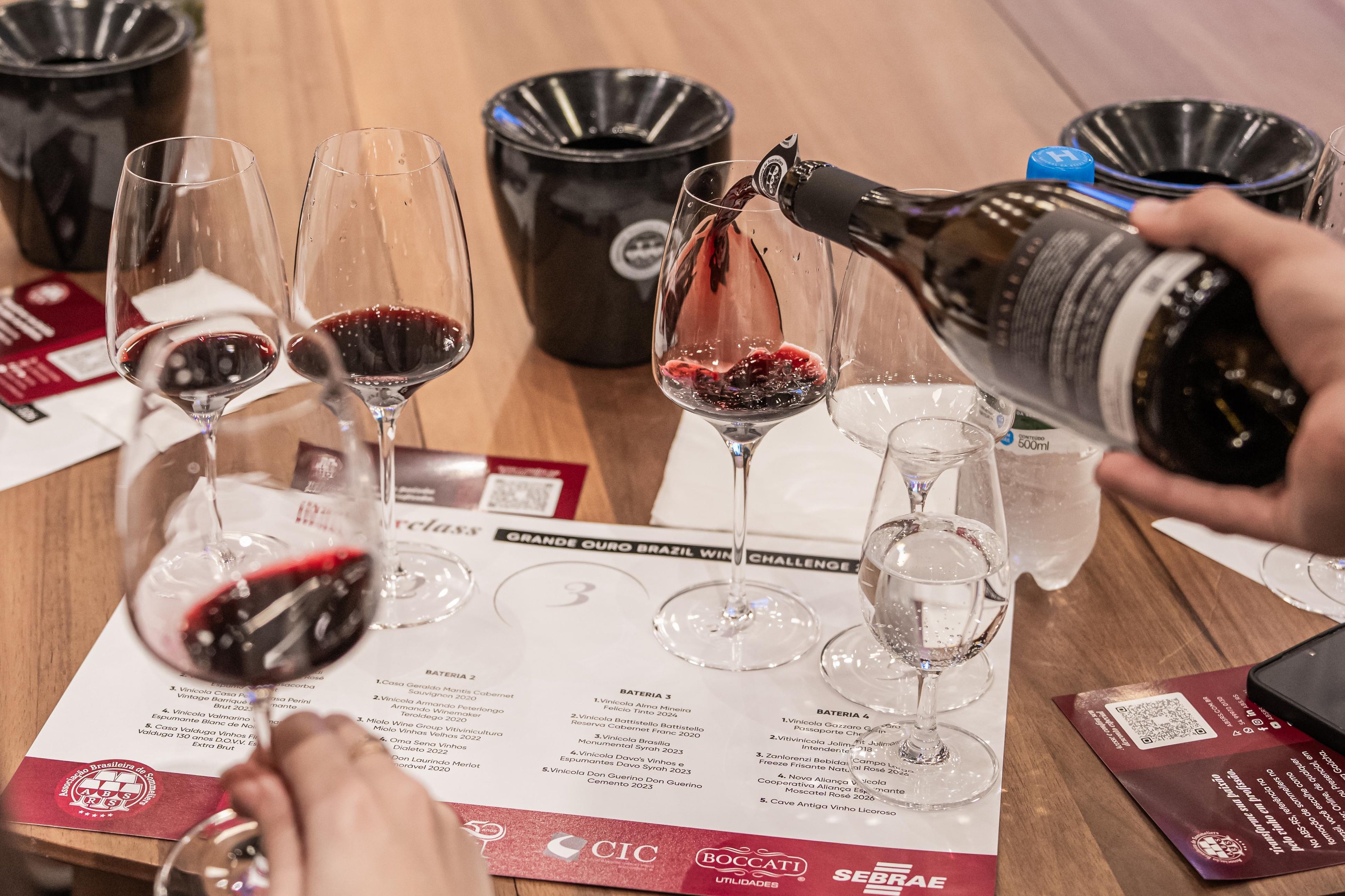 Encontro colocou em evid&ecirc;ncia os m&uacute;ltiplos &ldquo;sotaques&rdquo; do vinho nacional, ampliando as fronteiras para al&eacute;m do tradicional terroir ga&uacute;cho