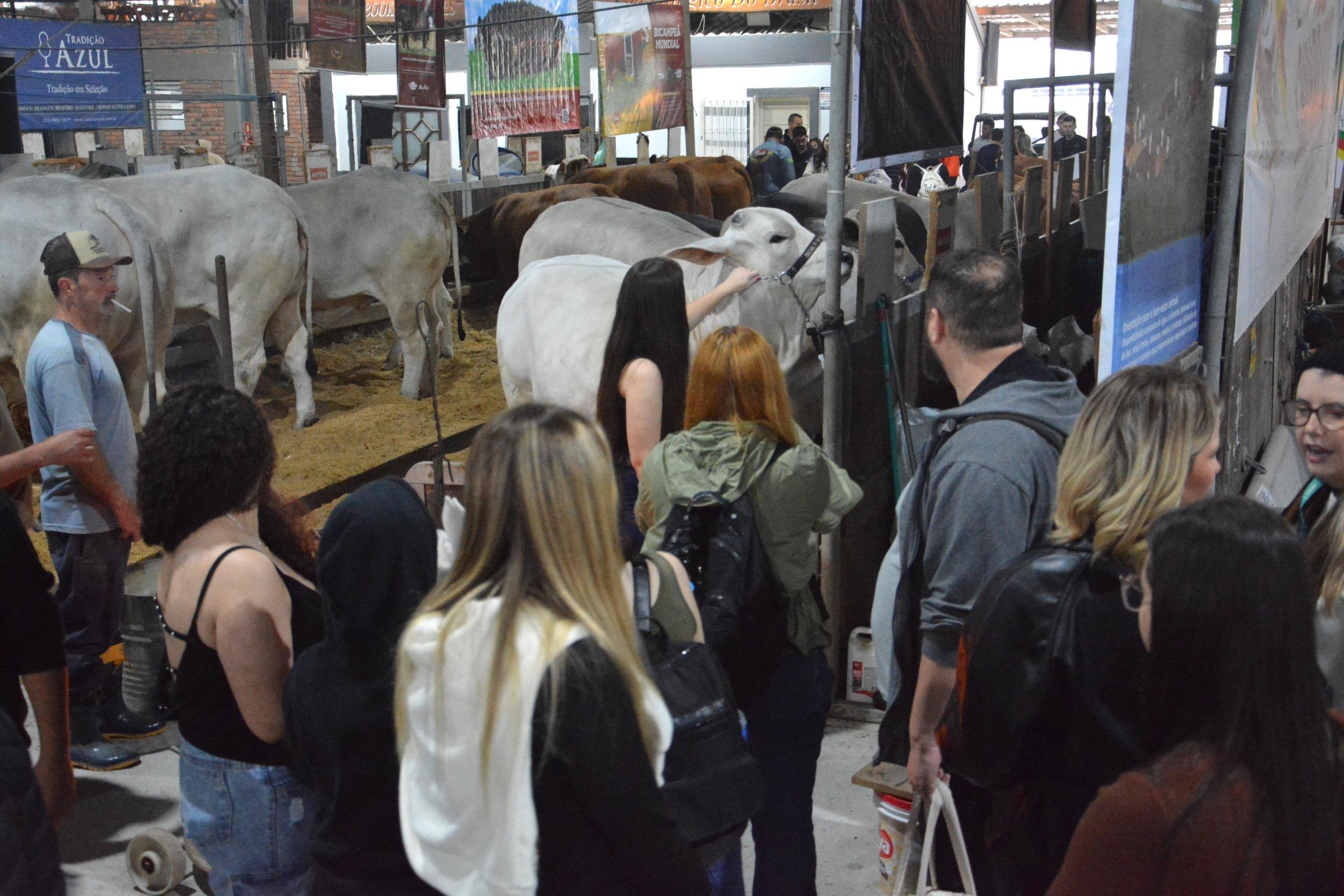 Expointer foi aberta na manh&atilde; desta s&aacute;bado