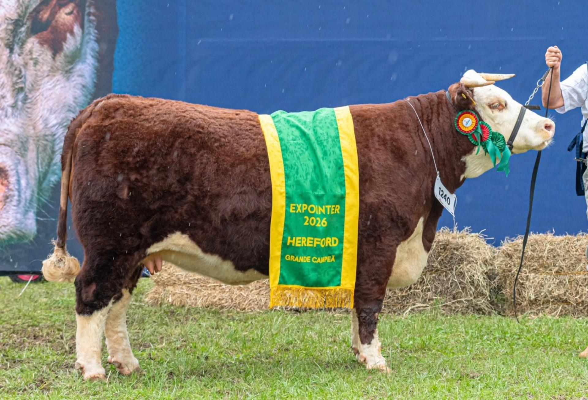 Grande Campe&atilde; Hereford representou o estabelecimento Tr&ecirc;s Marias A&ccedil;ude, de Bag&eacute; (RS)