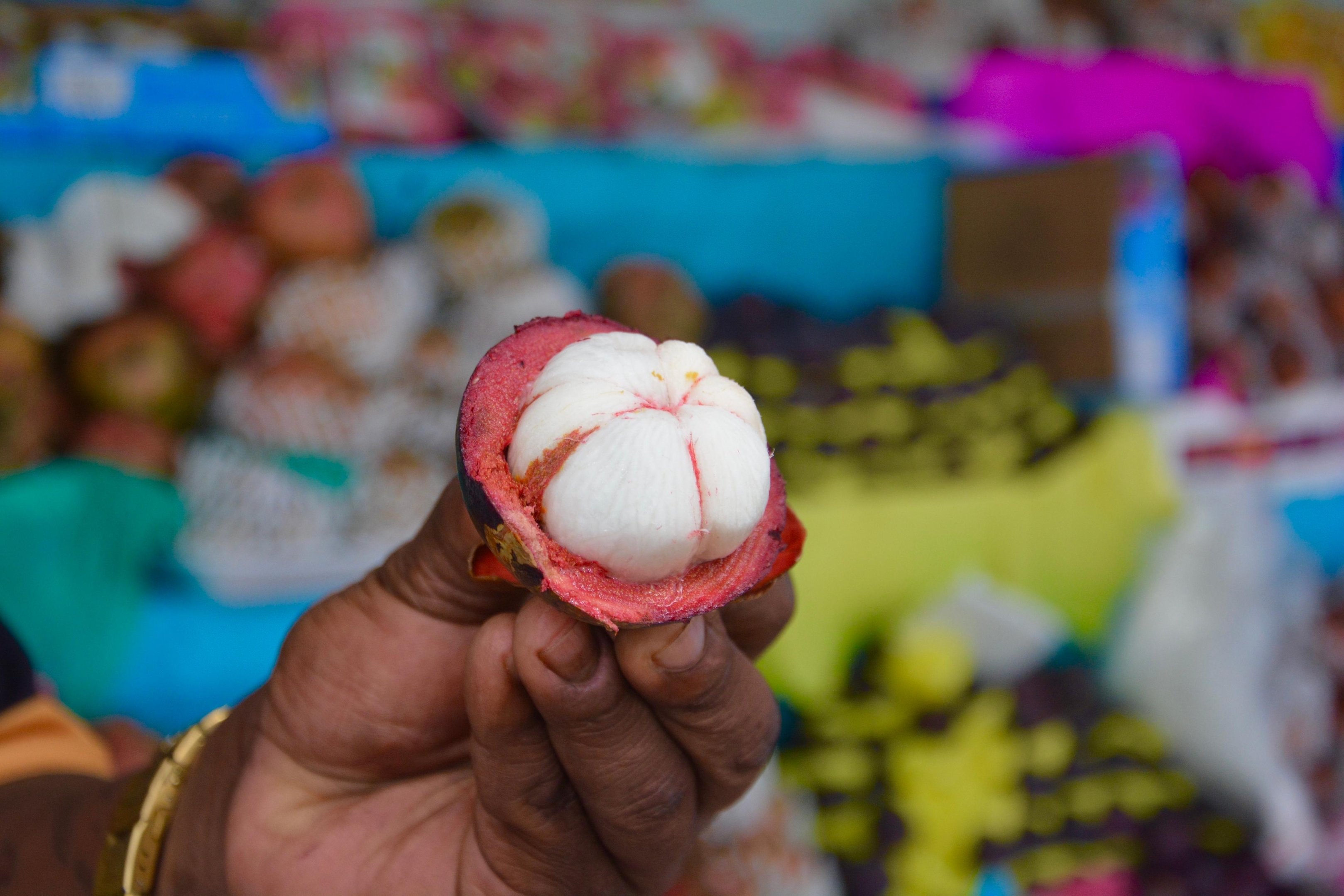 O mangost&atilde;o &eacute; conhecido como "rainha das frutas"