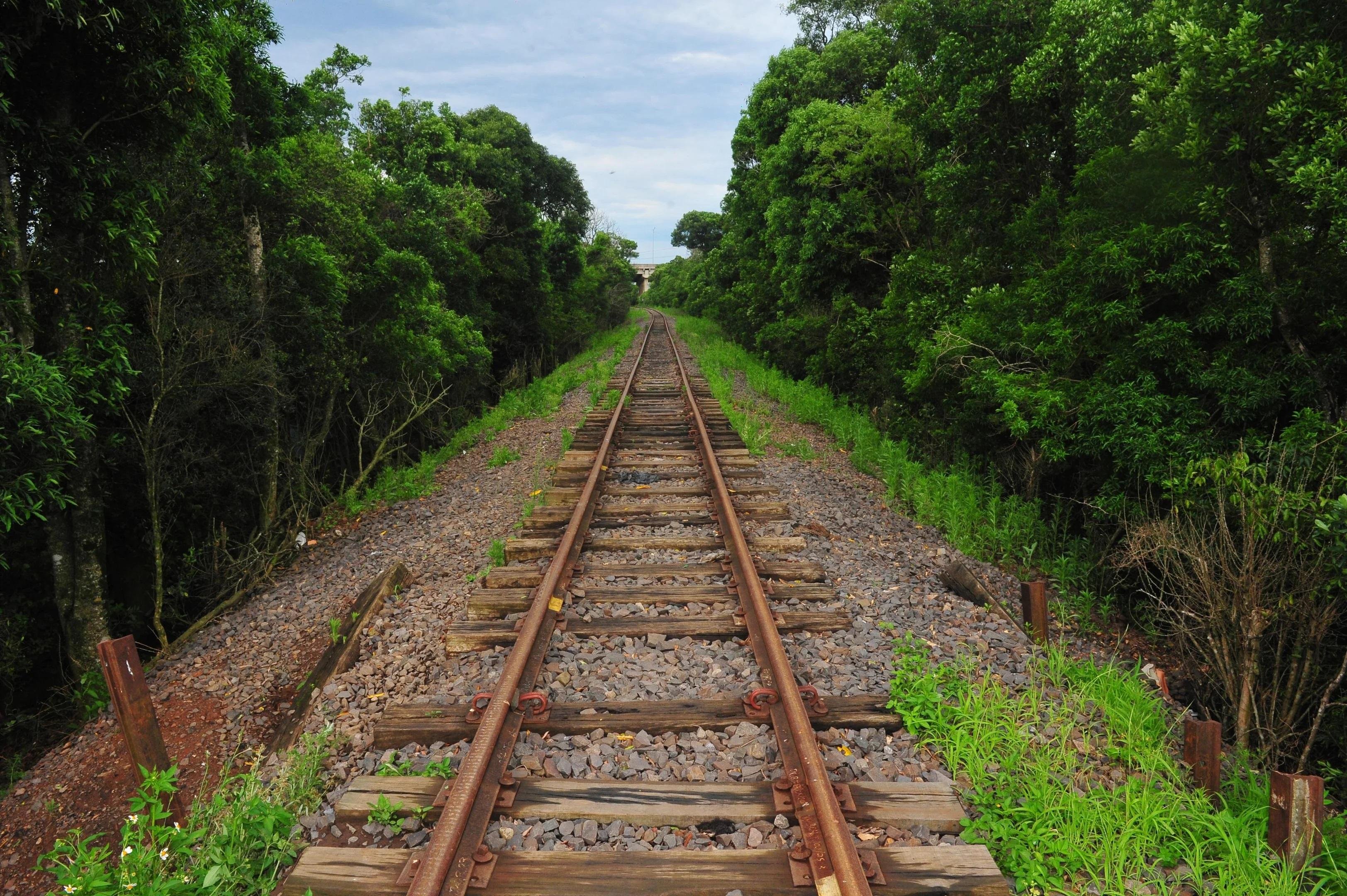 De acordo com os documentos oficiais, a malha ferrovi&aacute;ria da Regi&atilde;o Sul passou por um processo hist&oacute;rico de abandono, subutiliza&ccedil;&atilde;o e aus&ecirc;ncia de investimentos