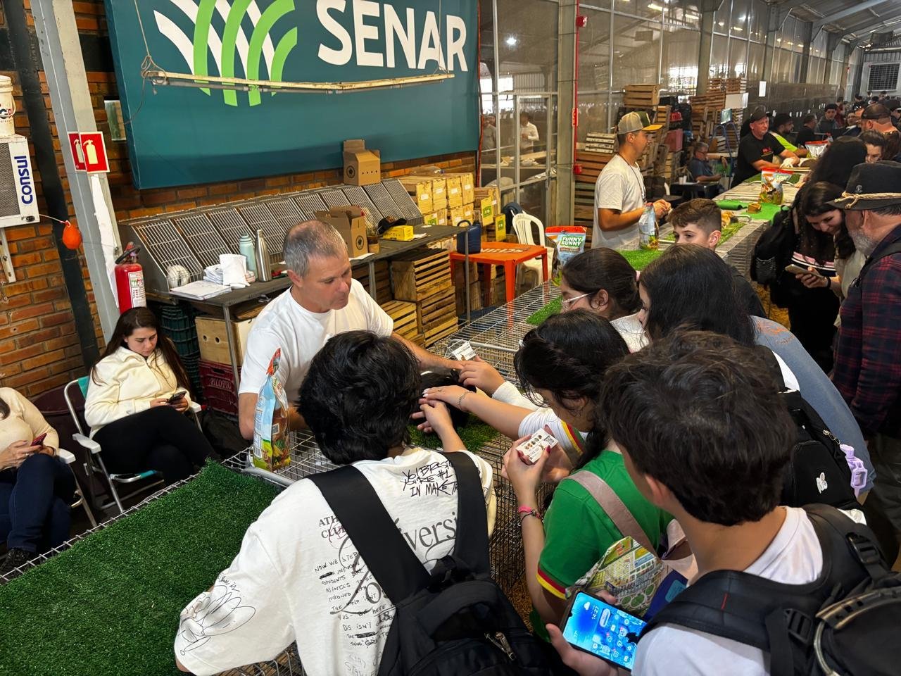 Pavilh&atilde;o de ra&ccedil;as de pequeno porte atrai muitas crian&ccedil;as
