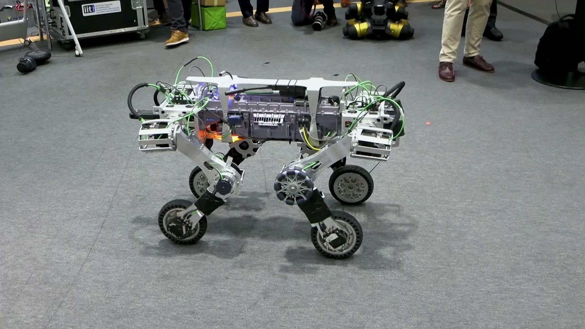 KYON, um rob&ocirc; quadr&uacute;pede do Instituto Italiano de Tecnologia (IIT), foi projetado para tarefas de log&iacute;stica