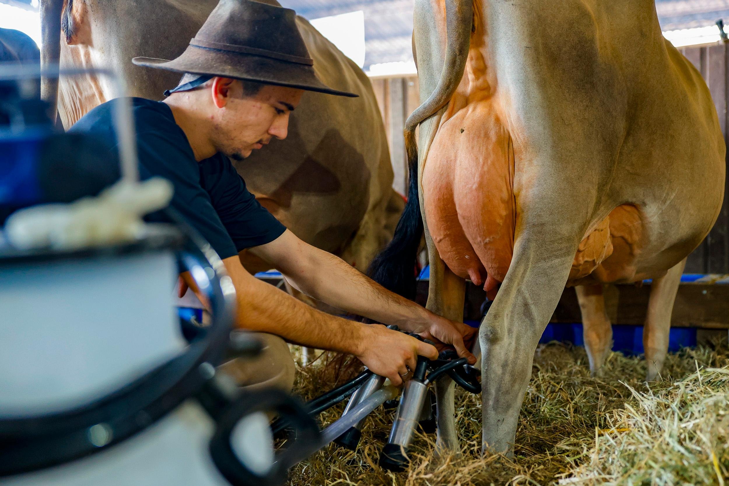 Recurso &eacute;&nbsp;destinado a agricultores familiares com Cadastro da Agricultura Familiar