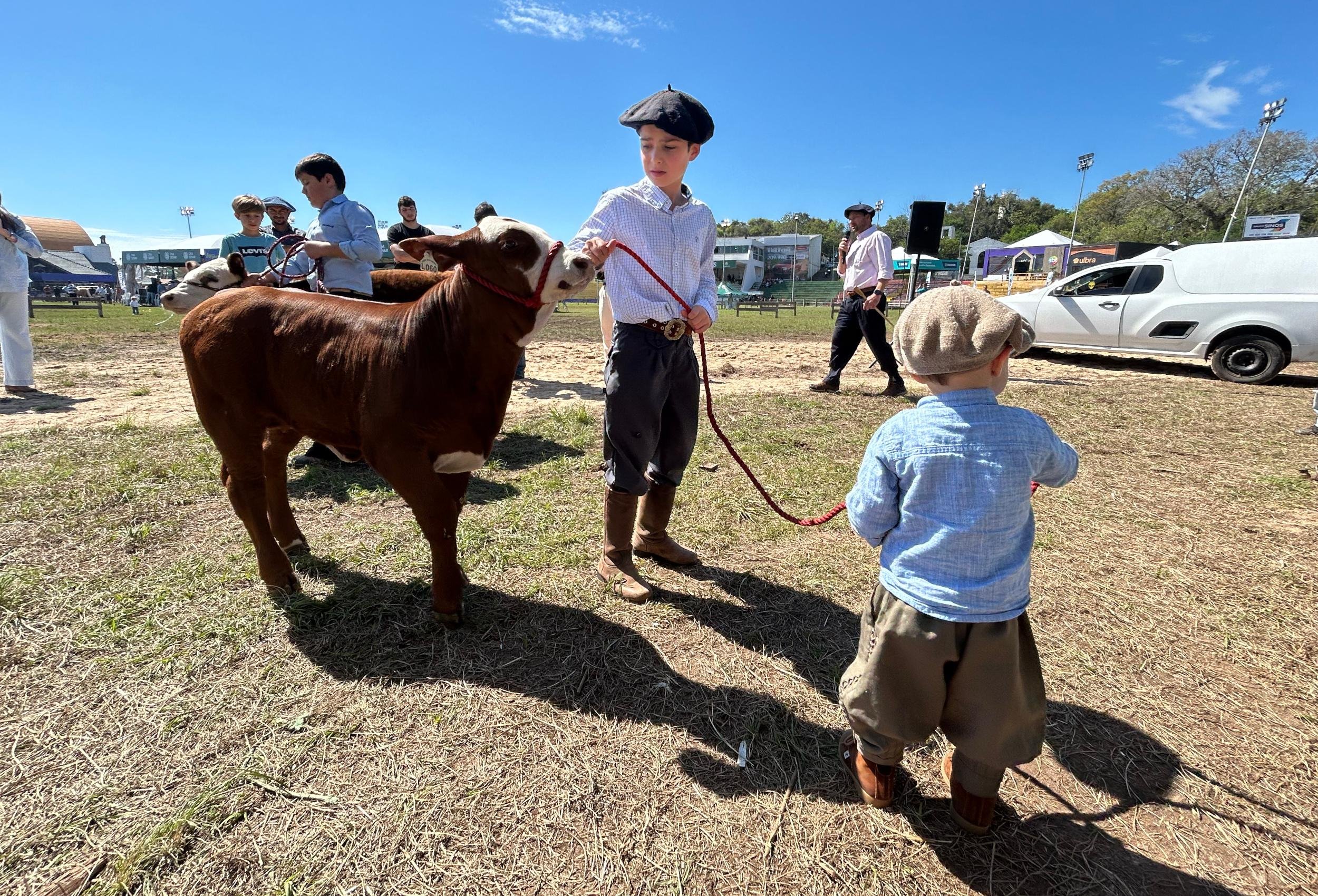 Associa&ccedil;&atilde;o das ra&ccedil;as levou terneiros, filhos e netos de criadores para a pista da Expointer