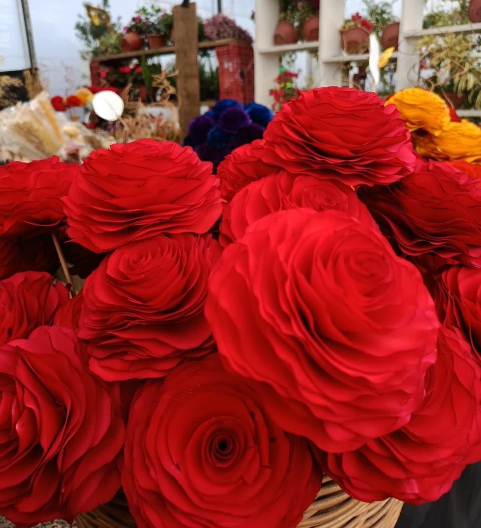 O Espa&ccedil;o da Flor Ga&uacute;cha se localiza em frente ao pavilh&atilde;o da Agricultura Familiar