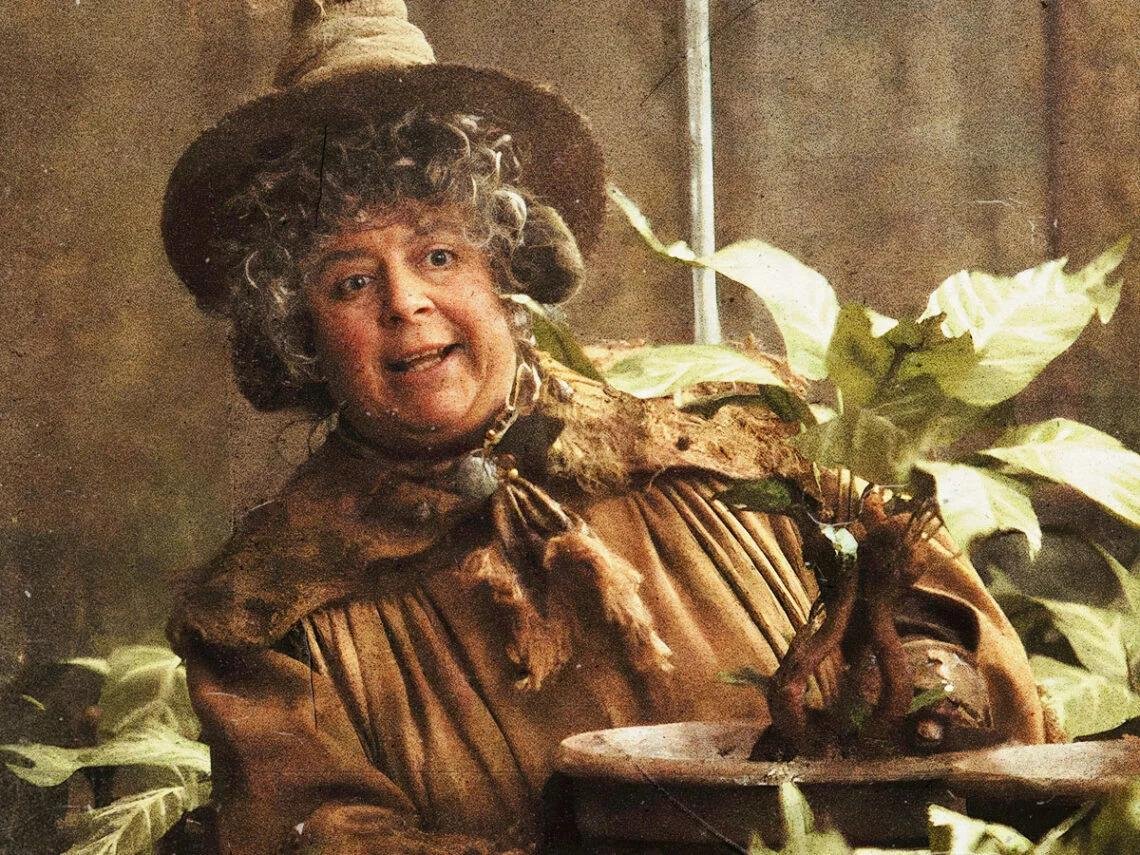 Miriam Margolyes deu vida &agrave; professora Pomona Sprout