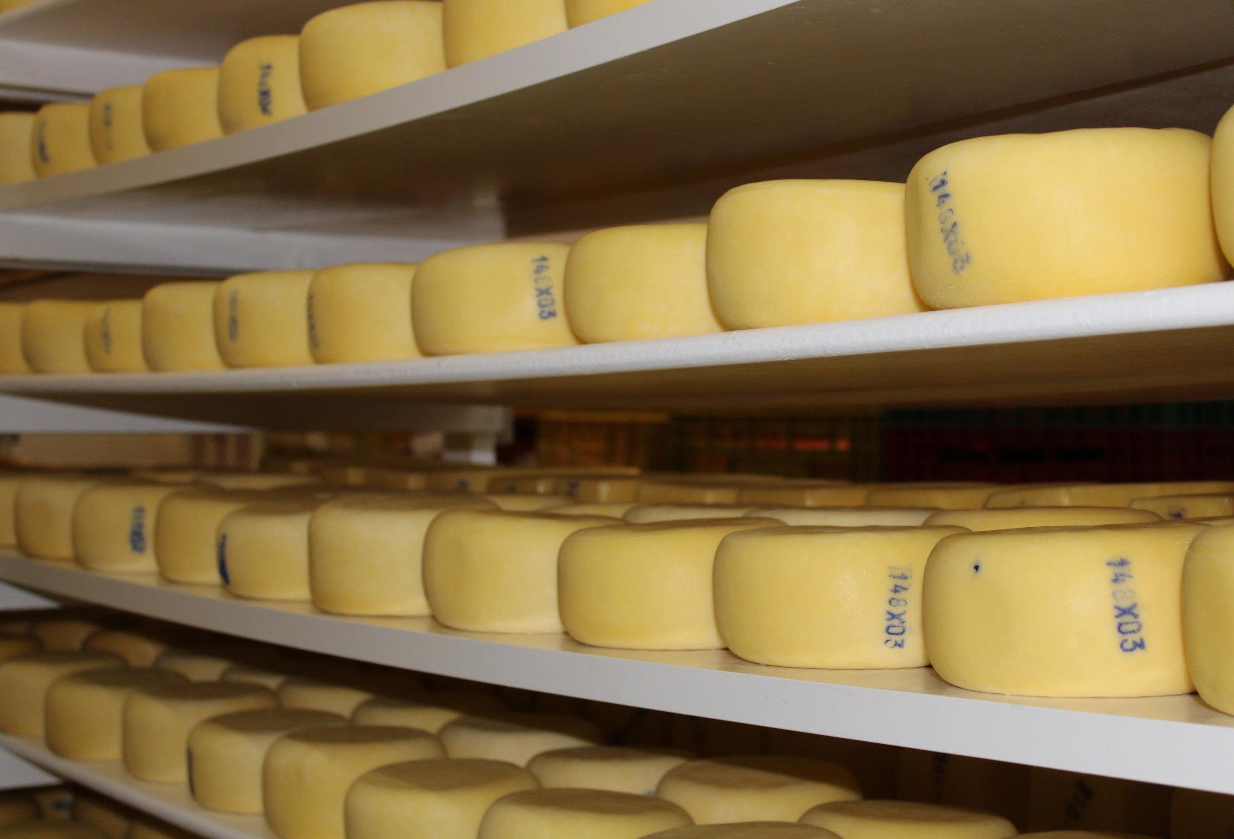 Prioridade &eacute; a renegocia&ccedil;&atilde;o das d&iacute;vidas de produtores e ind&uacute;strias