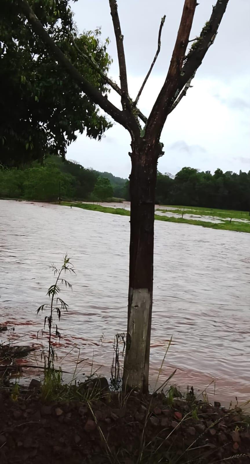 O rio Erval Novo, em Baixo Erval Novo e a sanga Rasa, na localidade de Linha Harmonia extravasaram devido ao excesso de chuva
