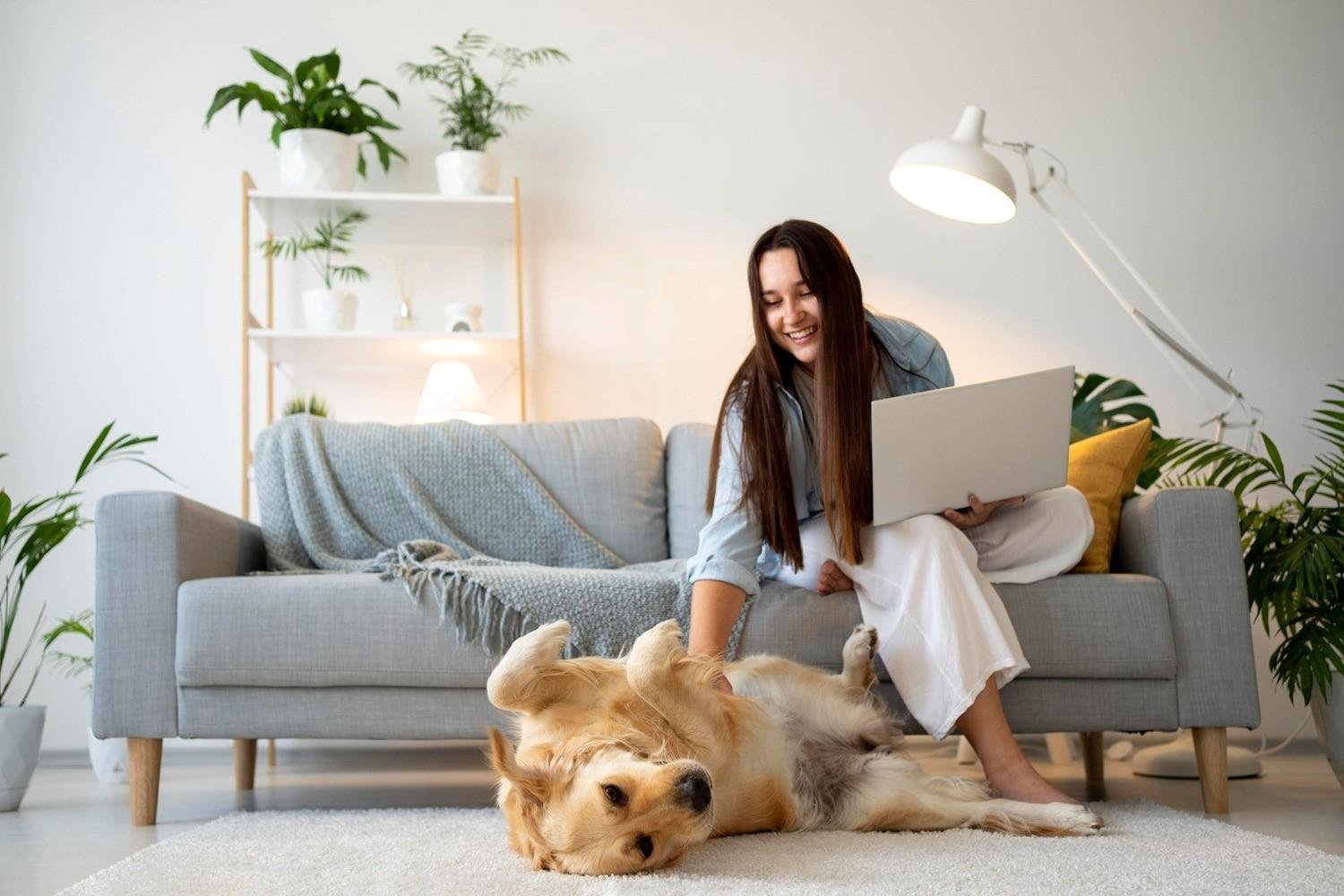Casa com pets pede uma rotina de limpeza mais frequente, com aten&ccedil;&atilde;o &agrave; escolha de produtos seguros para os animais e &agrave; higieniza&ccedil;&atilde;o de pisos, tecidos e potes