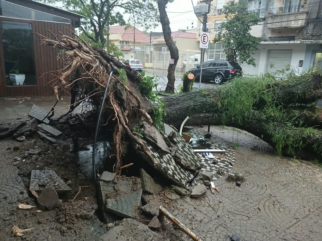 &Aacute;rvore foi arrancada do solo pela for&ccedil;a do vento na avenida Amazonas, em Porto Alegre