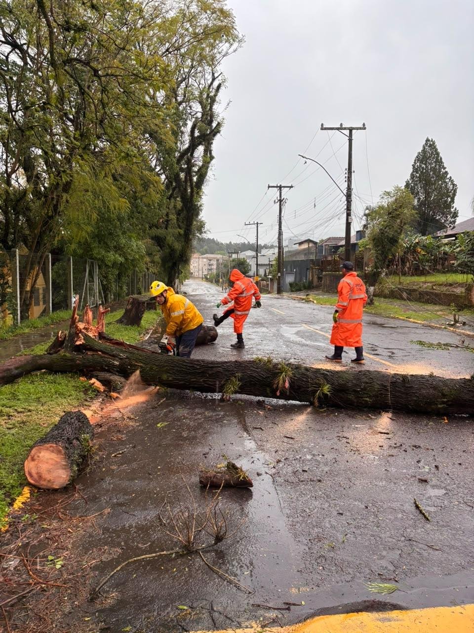 O munic&iacute;pio registrou ventos com velocidade de at&eacute; 100 km/hora