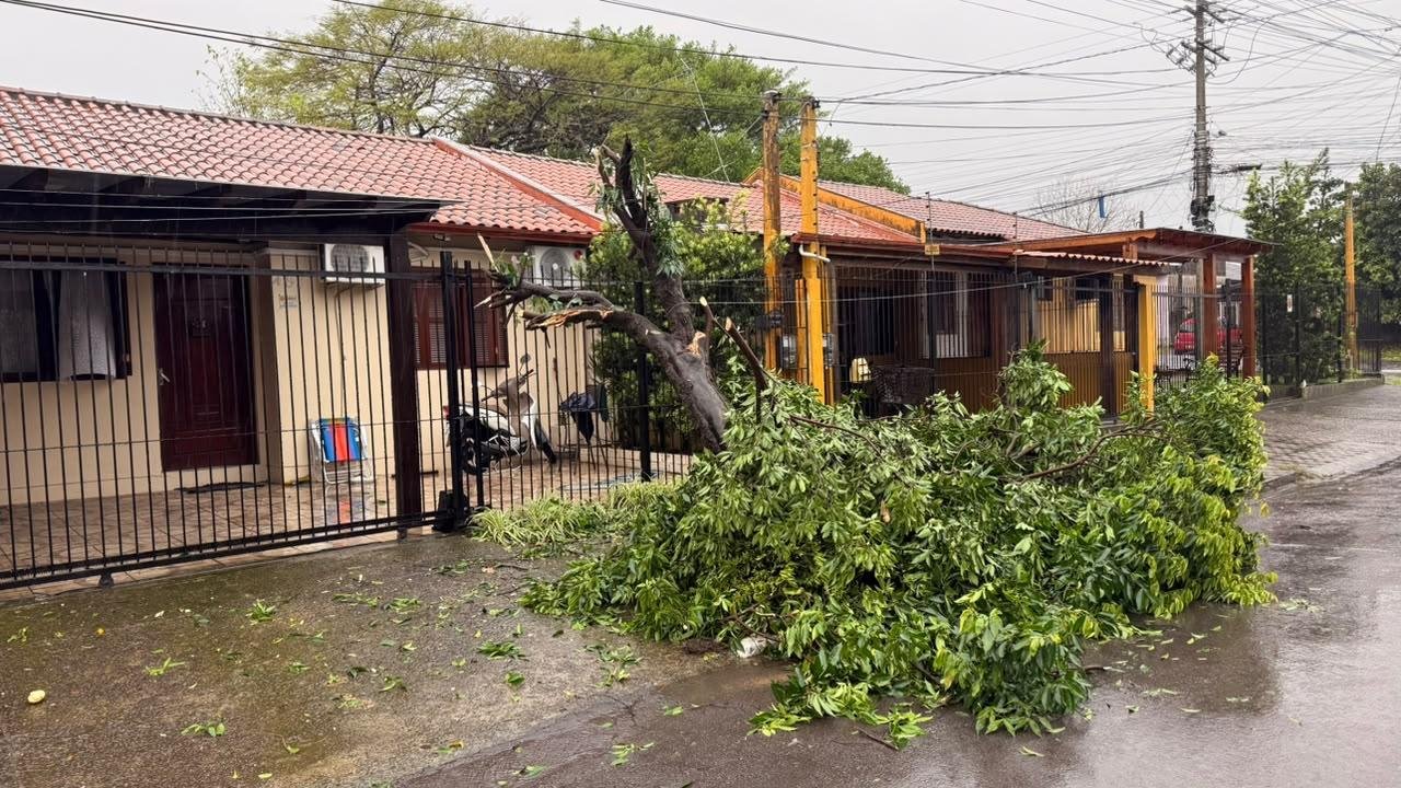 As equipes permanecem mobilizadas para atender &agrave;s ocorr&ecirc;ncias e atualizar o levantamento dos danos
