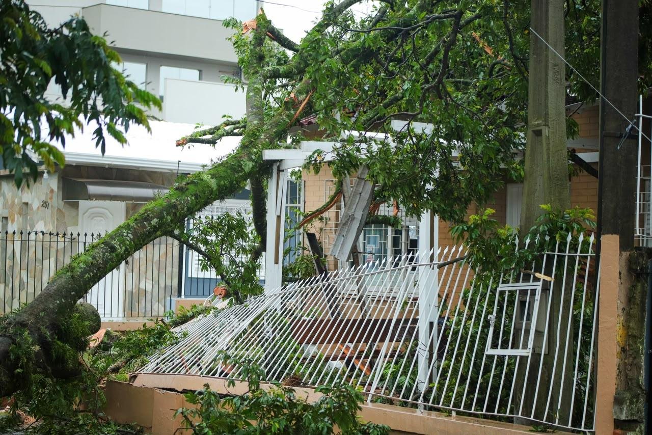 Mais de 300 casas atingidas e os bairros que concentram maior n&uacute;mero de ocorr&ecirc;ncias s&atilde;o Fi&atilde;o e Cristo Rei